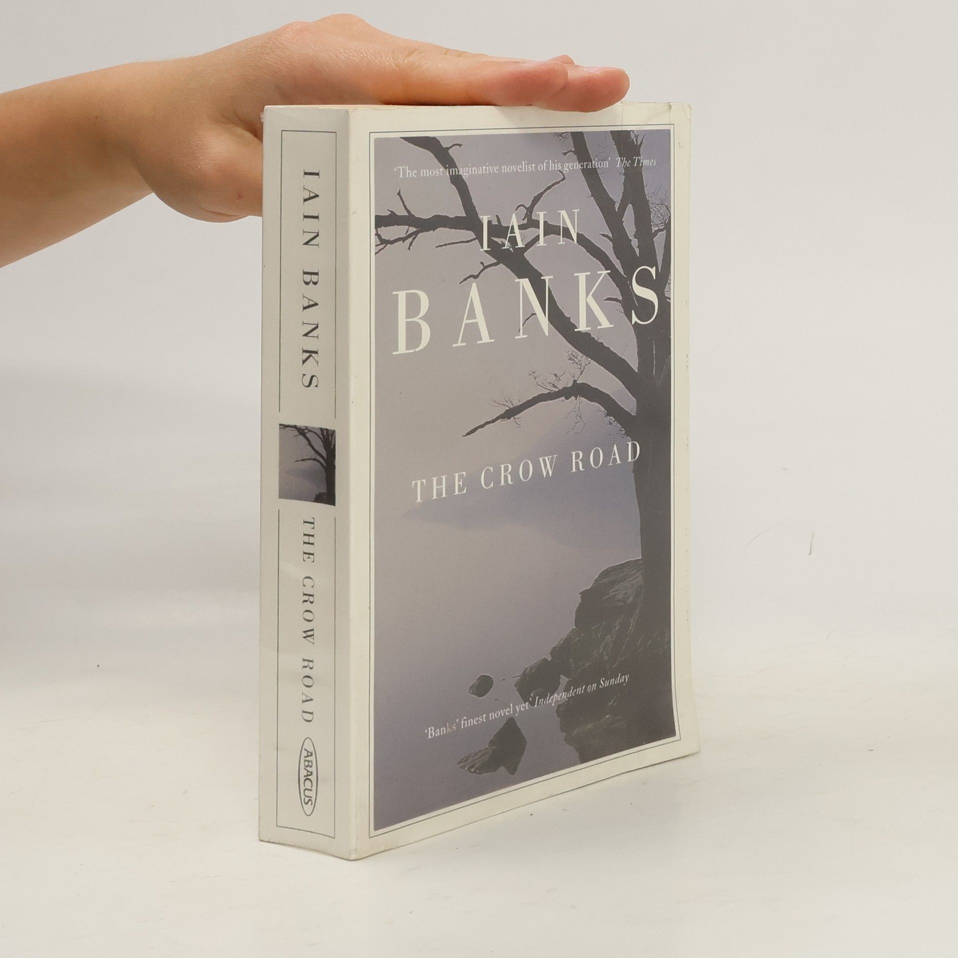 Iain M. Banks The Crow Road