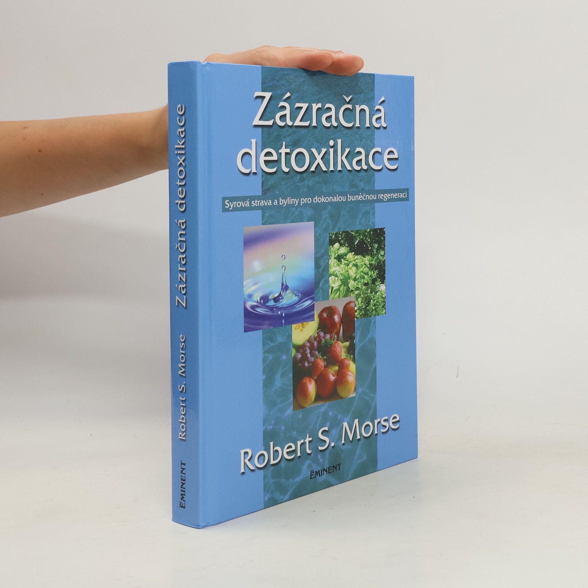 Robert Morse Zázračná detoxikace