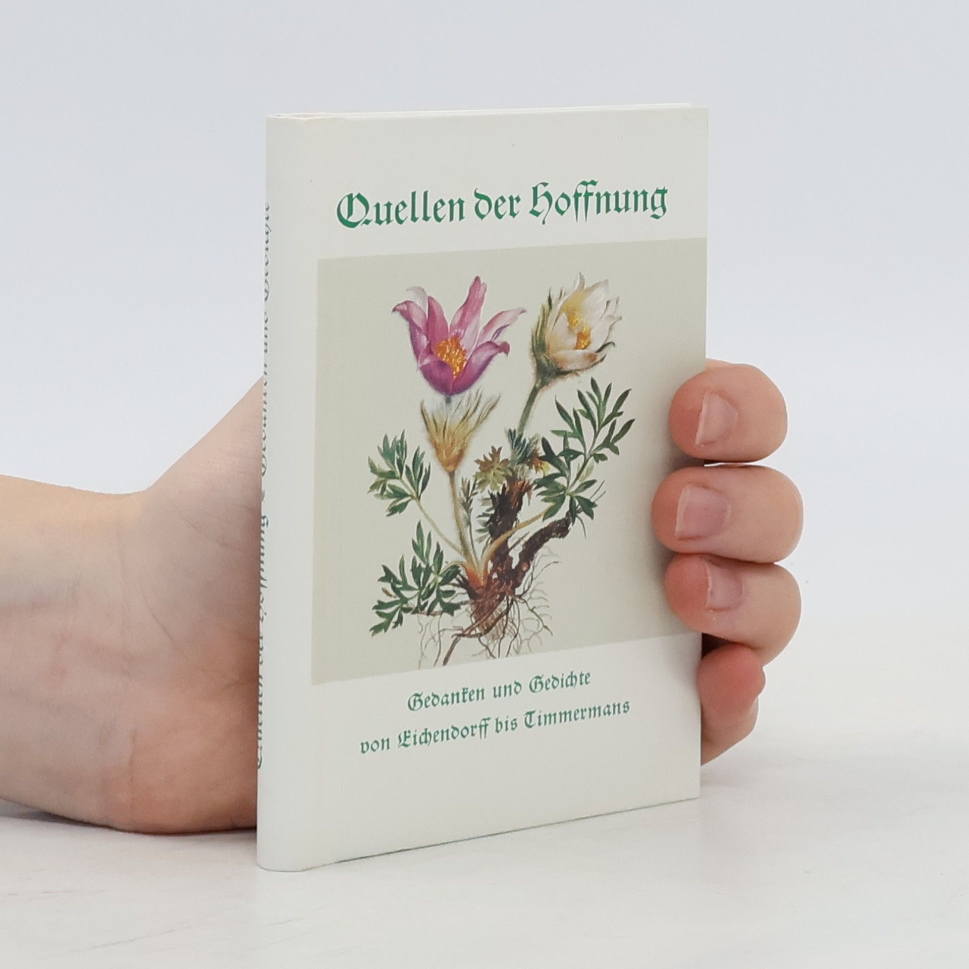 Eugen Hettinger Quellen der Hoffnung