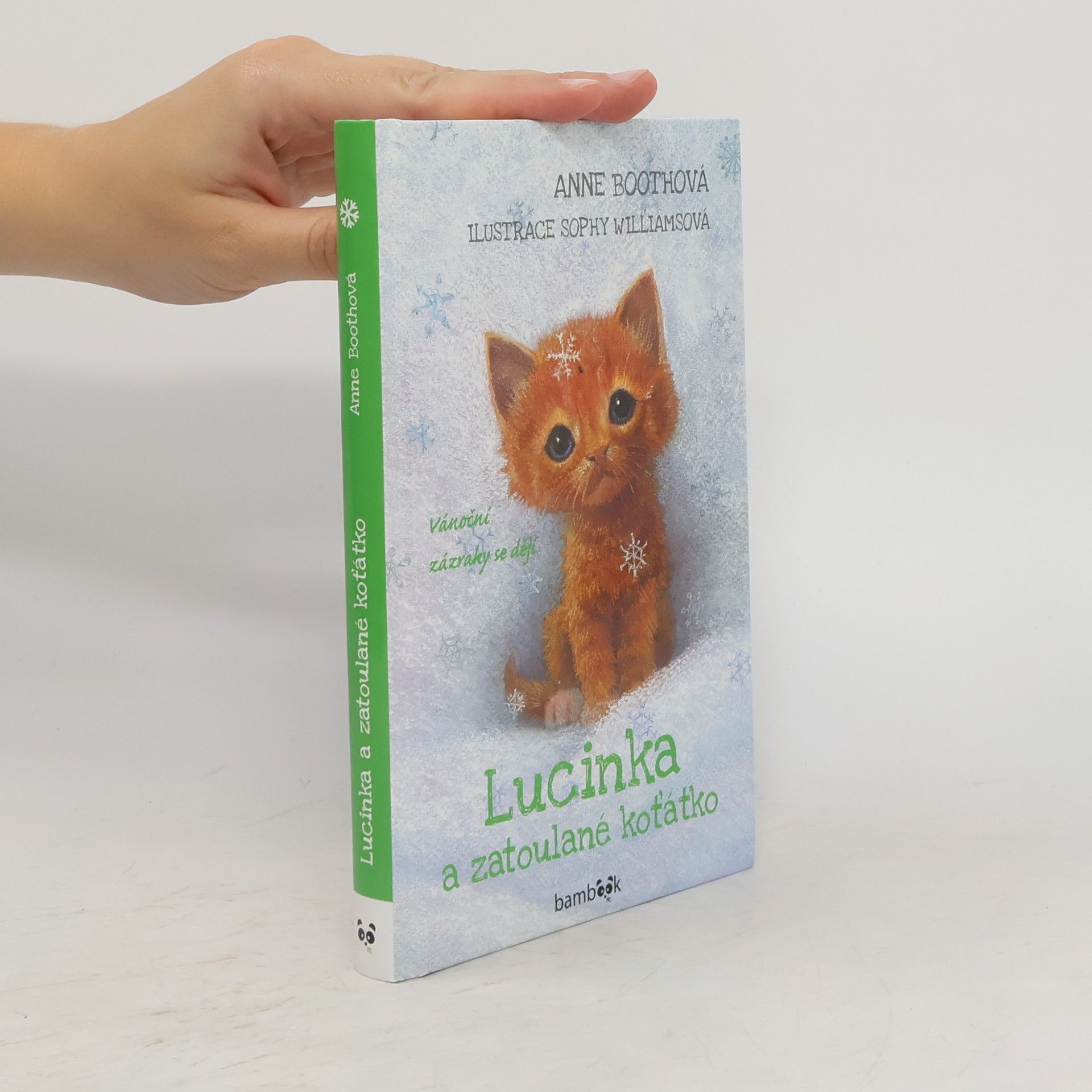 Lucinka a zatoulané koťátko