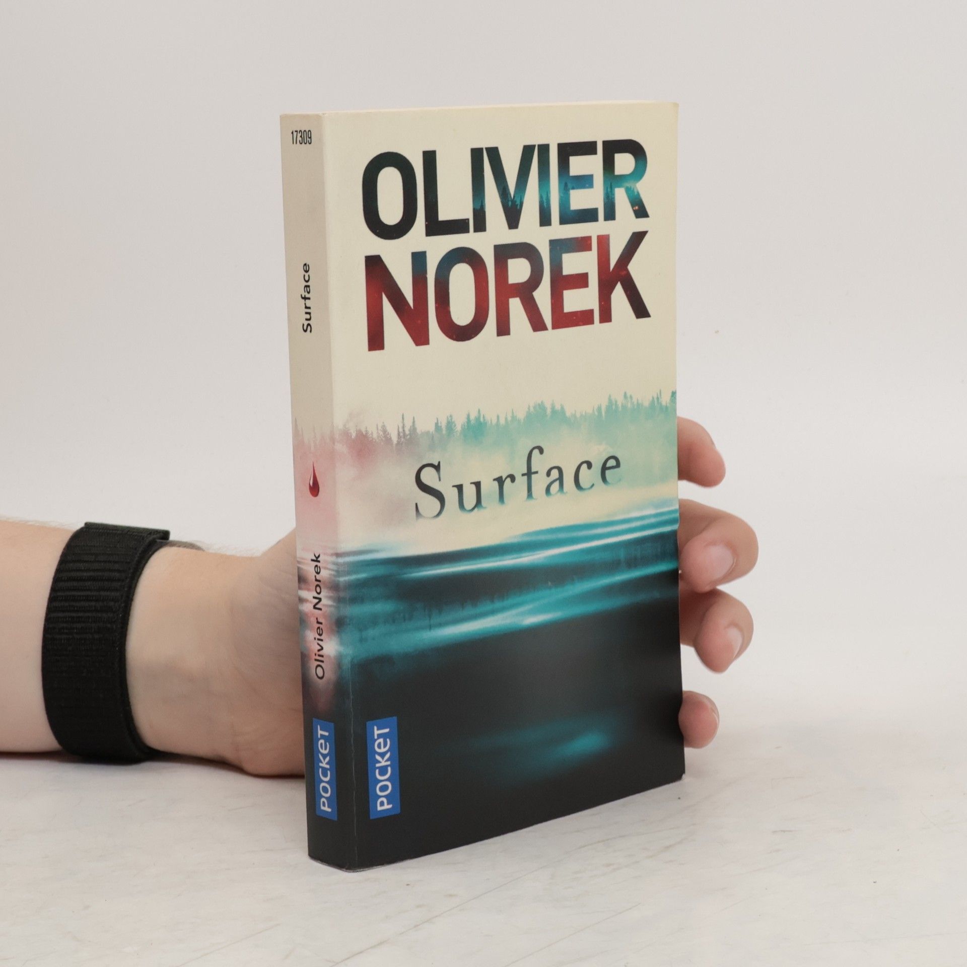 Olivier Norek Surface