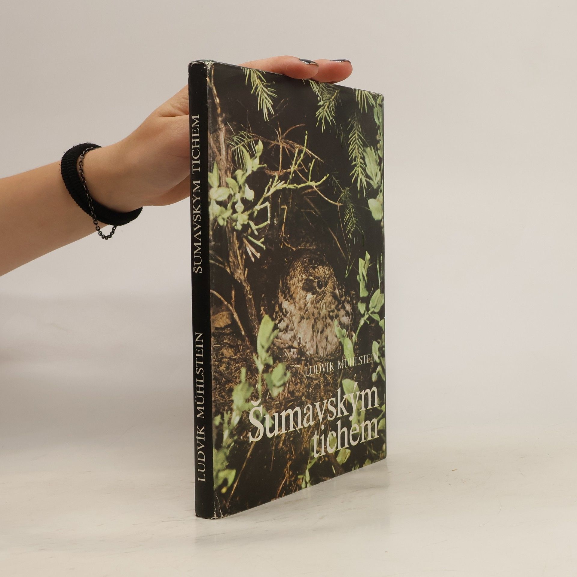 Ludvík Mühlstein Šumavským tichem