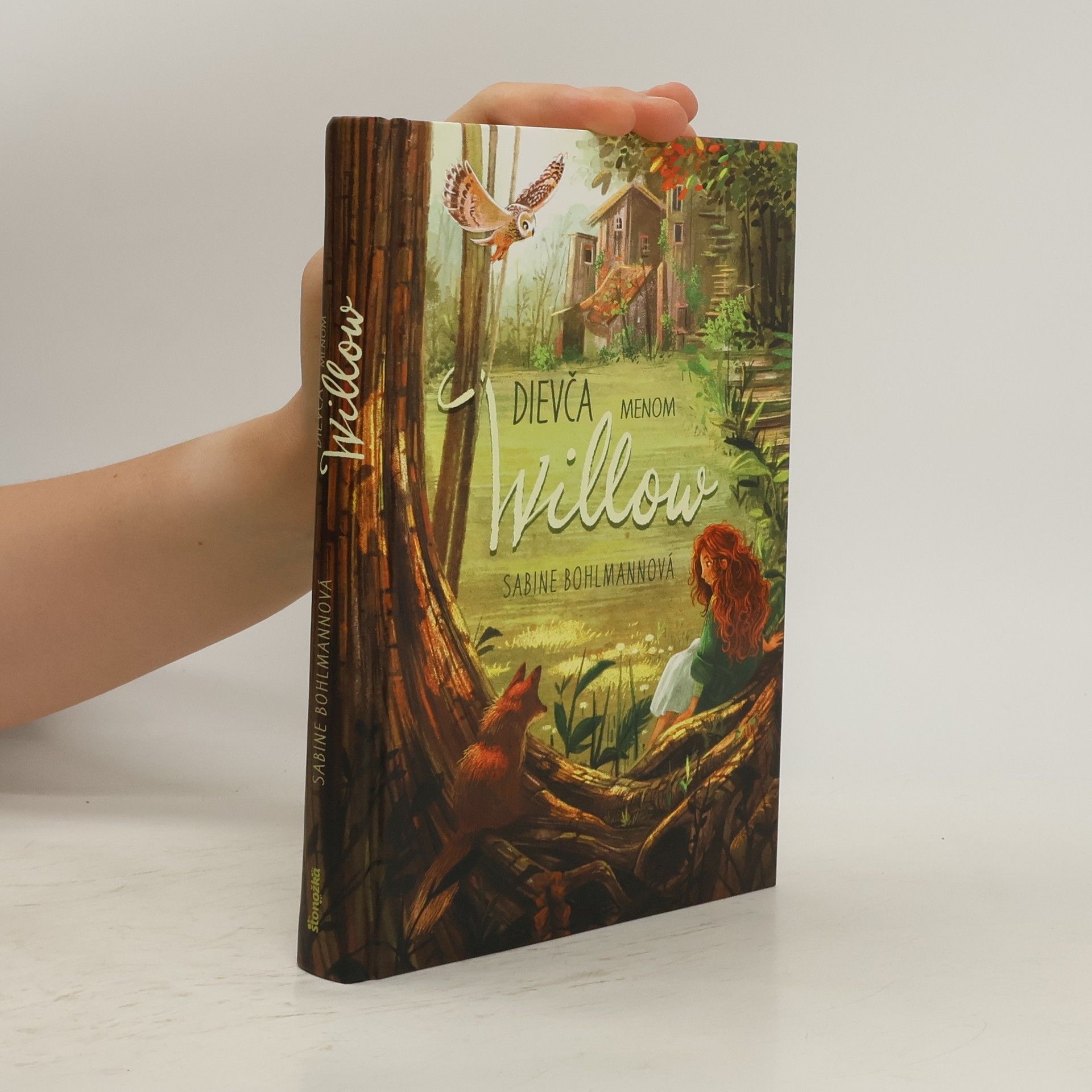 Sabine Bohlmann Dievča menom Willow
