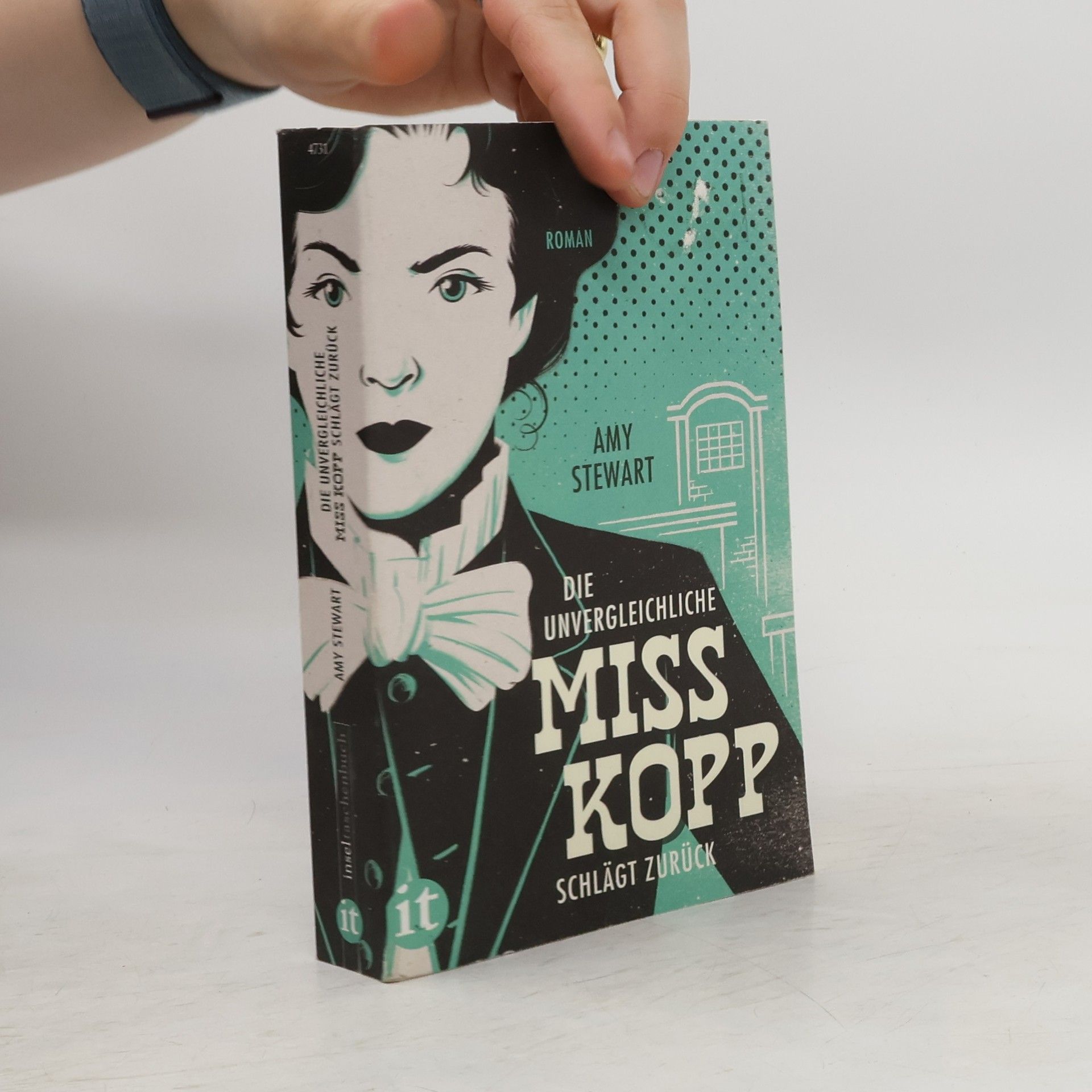 Amy Stewart Die unvergleichliche Miss Kopp schlägt zurück