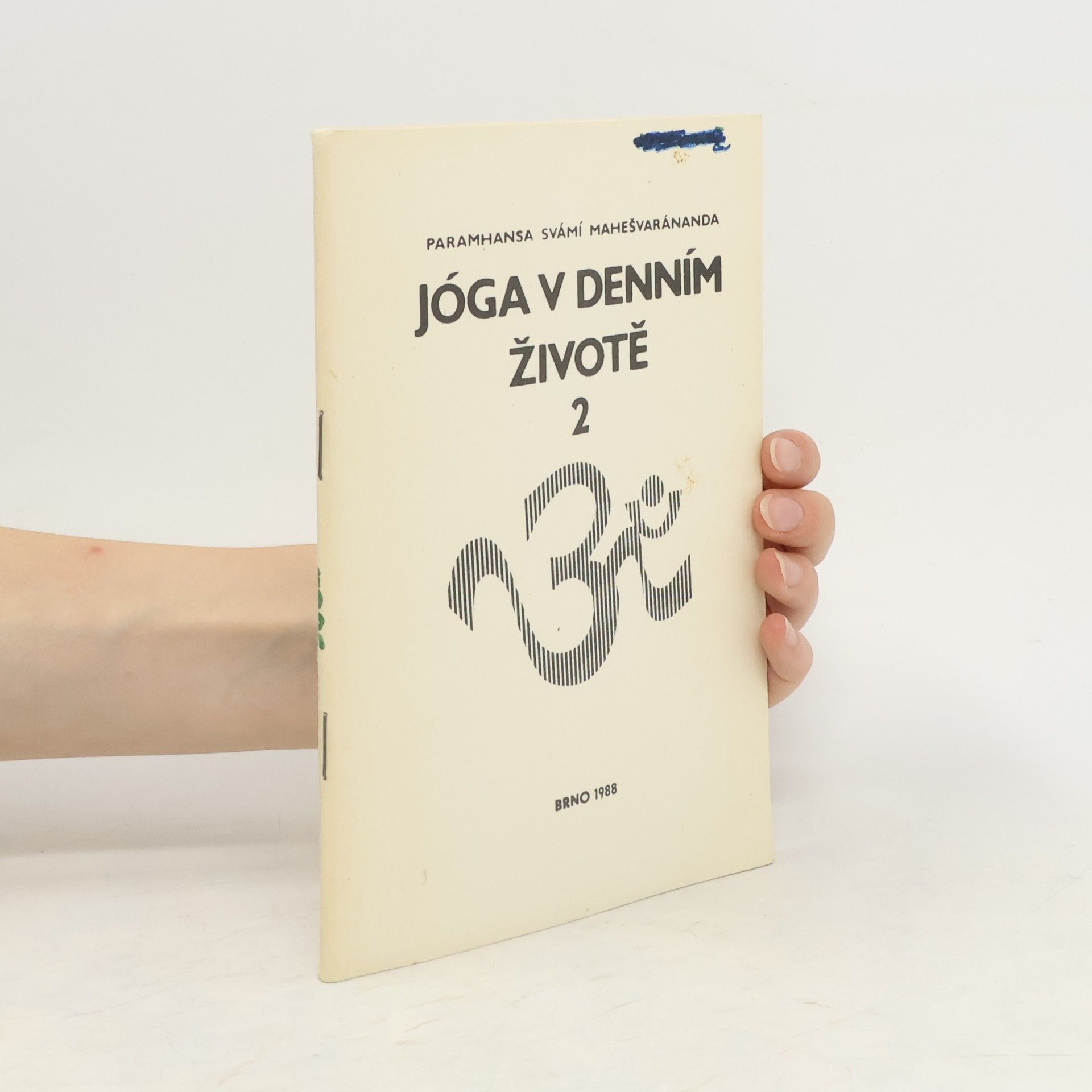 Paramhans Swami Maheshwarananda Jóga v denním životě 2
