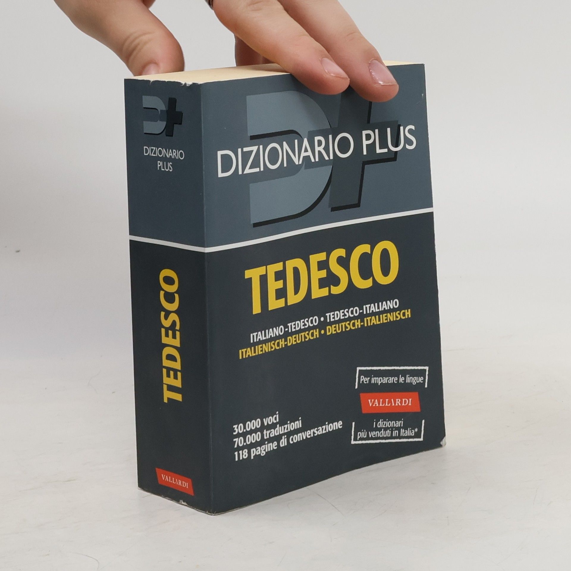 Erica Pichler Dizionario tedesco. Italiano-tedesco, tedesco-italiano