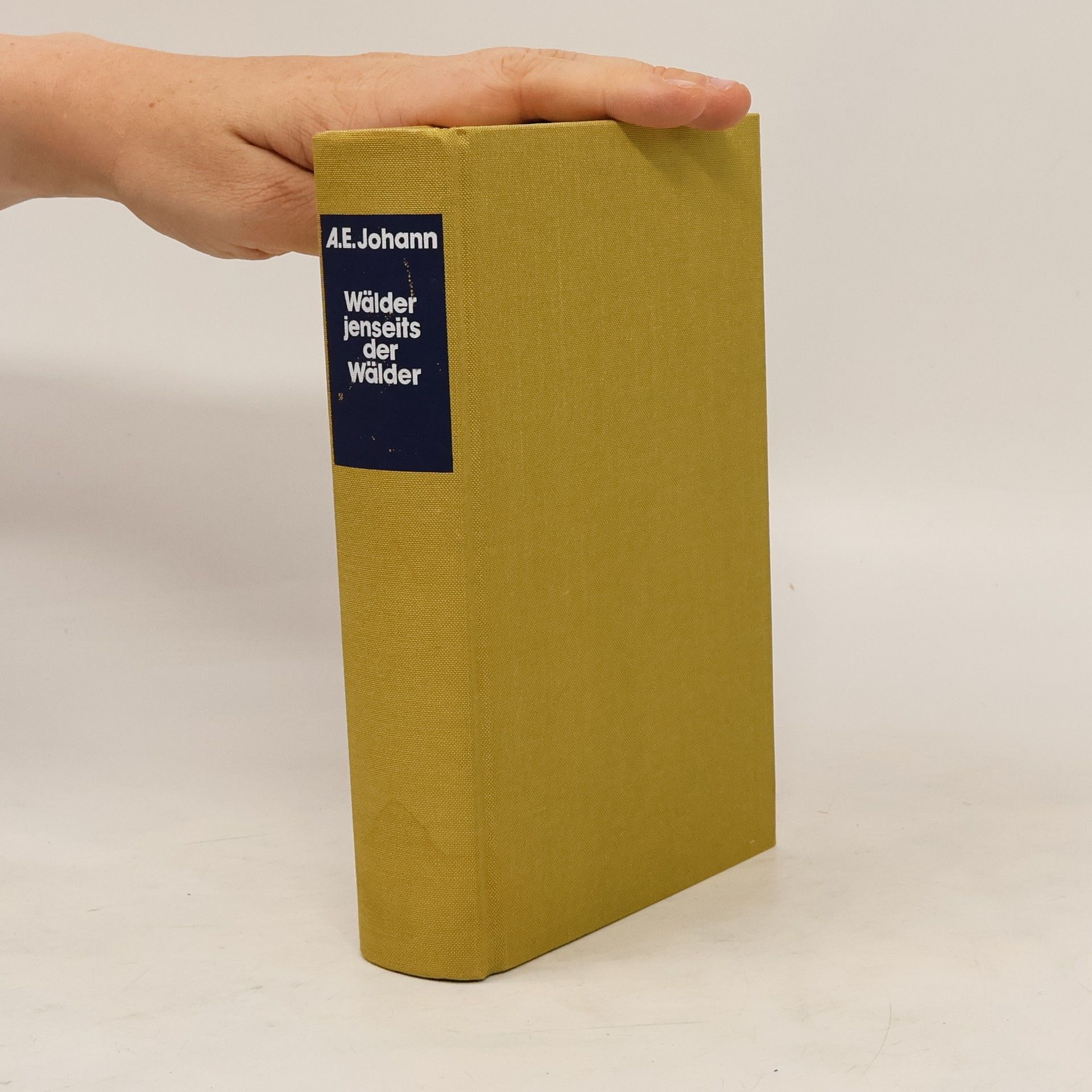 Wälder jenseits der Wälder