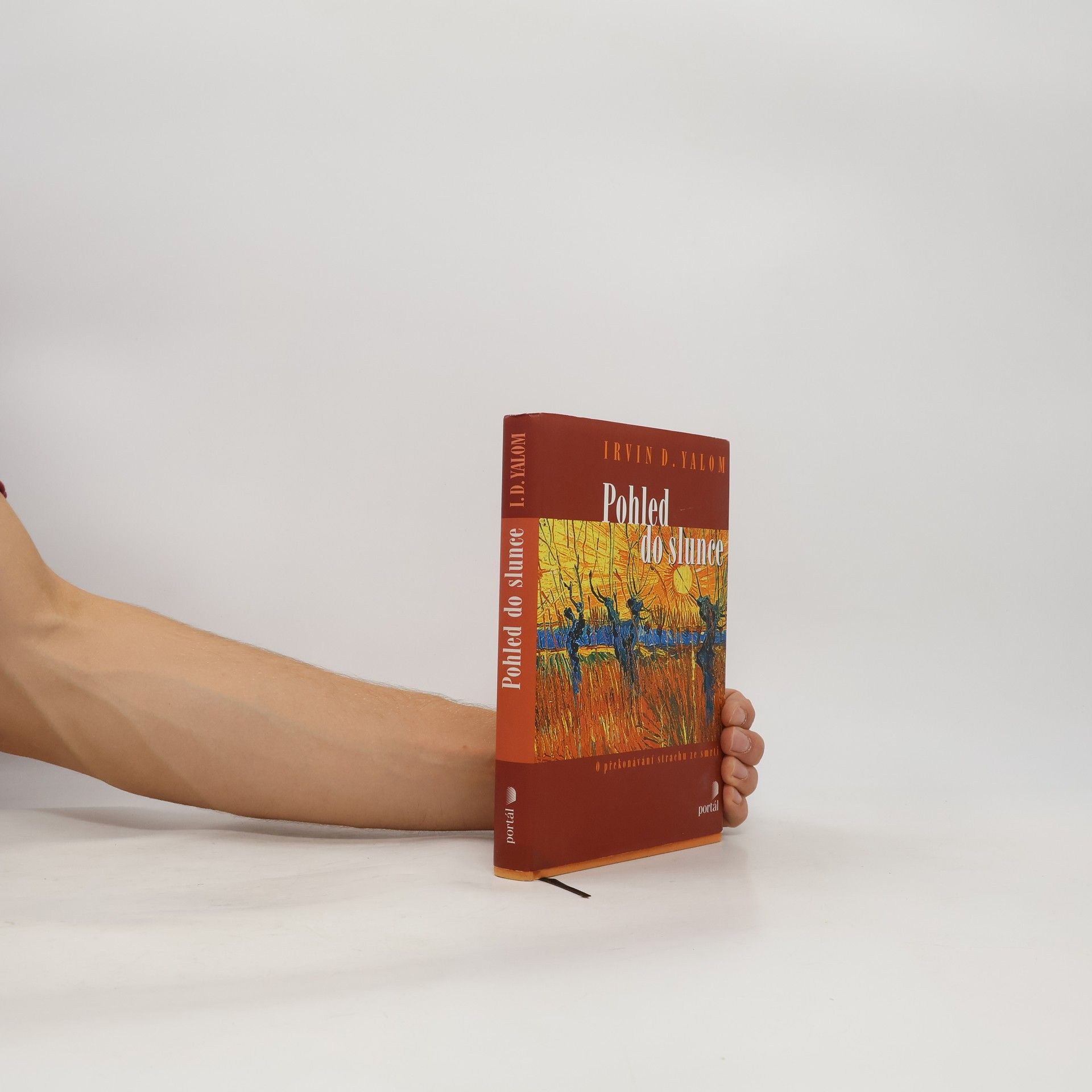 Irvin D. Yalom Pohled do slunce