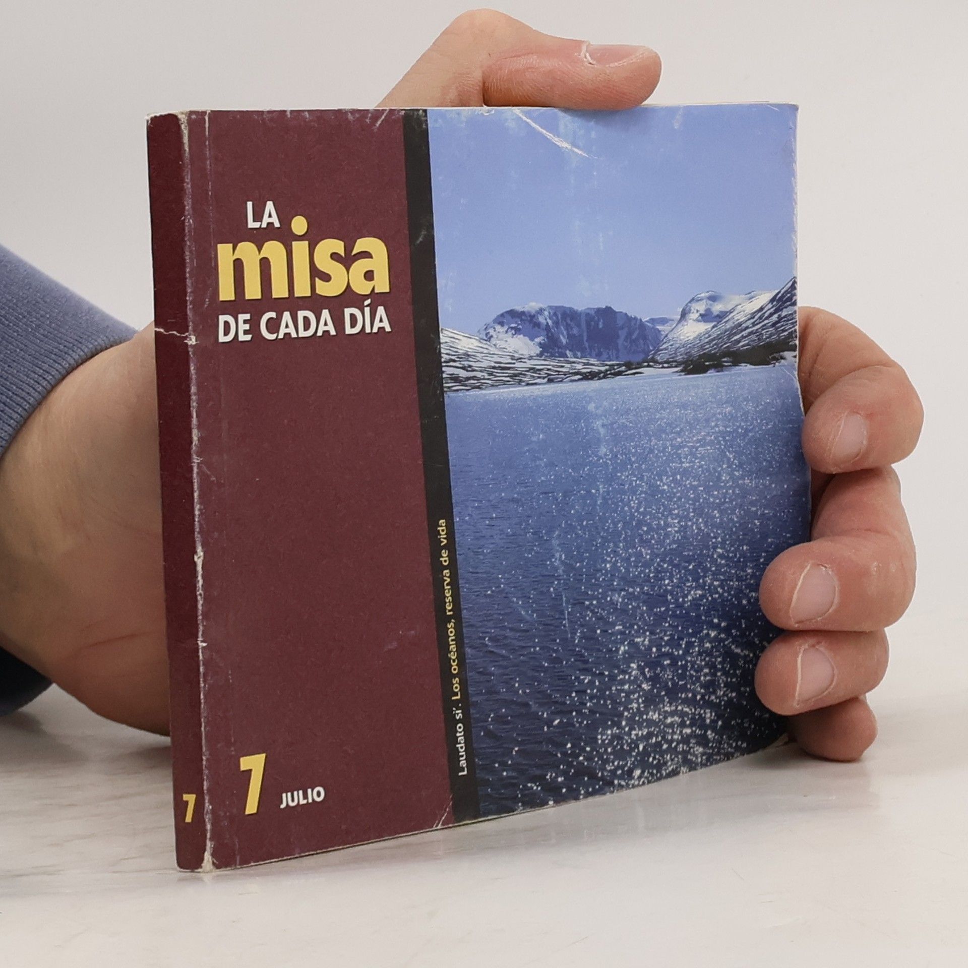 Autores varios La misa de cada día. 7 julio