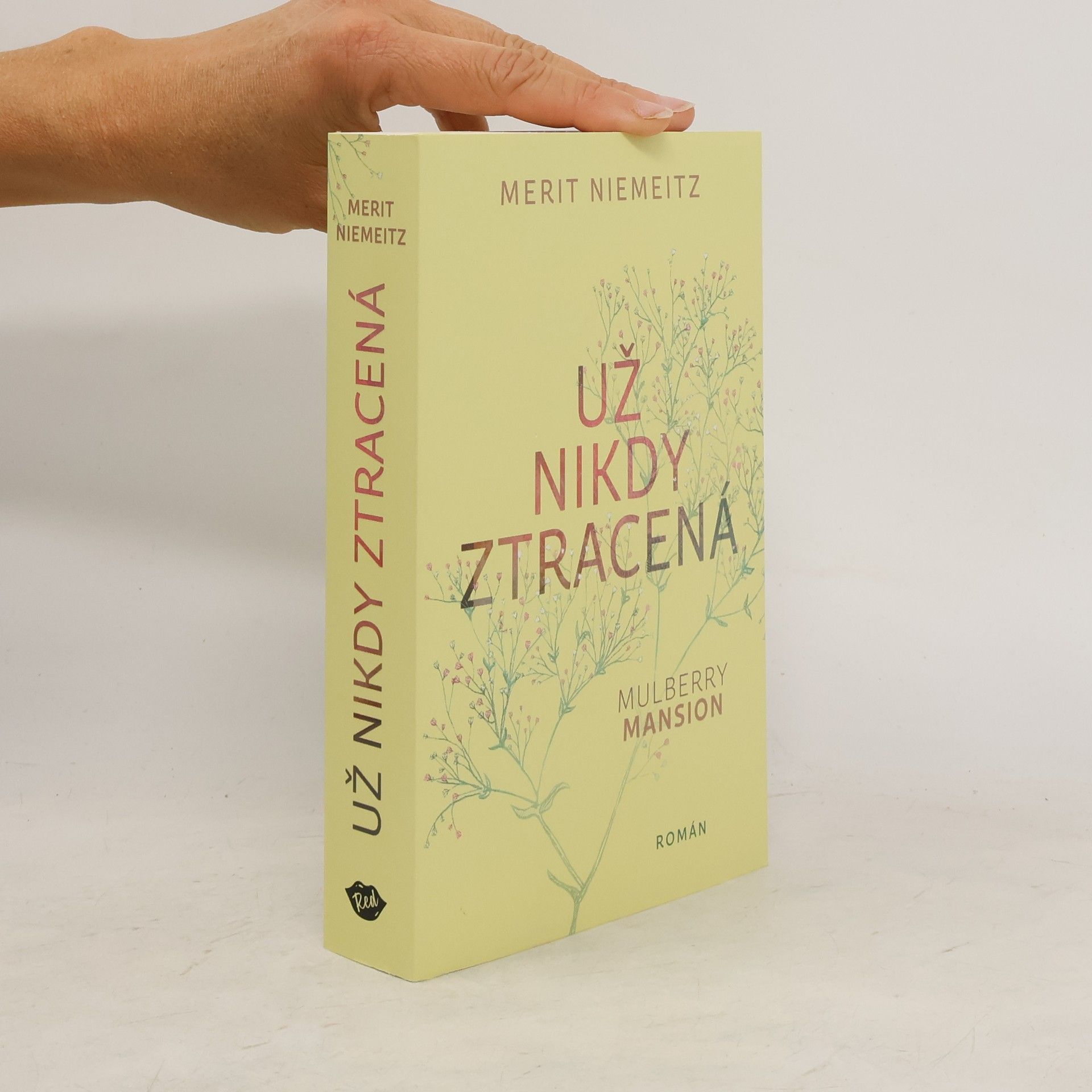 Merit Niemeitz Už nikdy ztracená