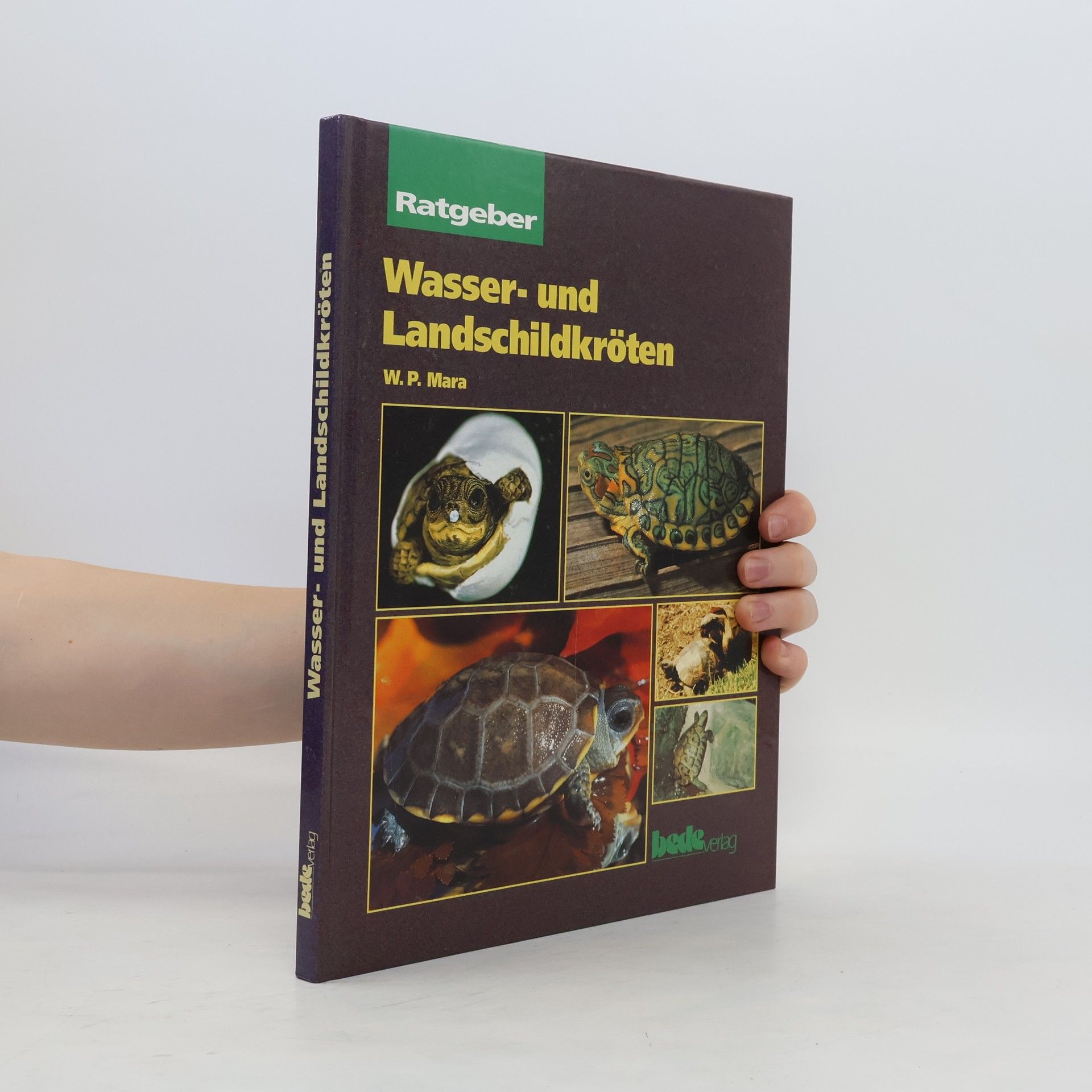 Wil Mara Wasser- und Landschildkröten