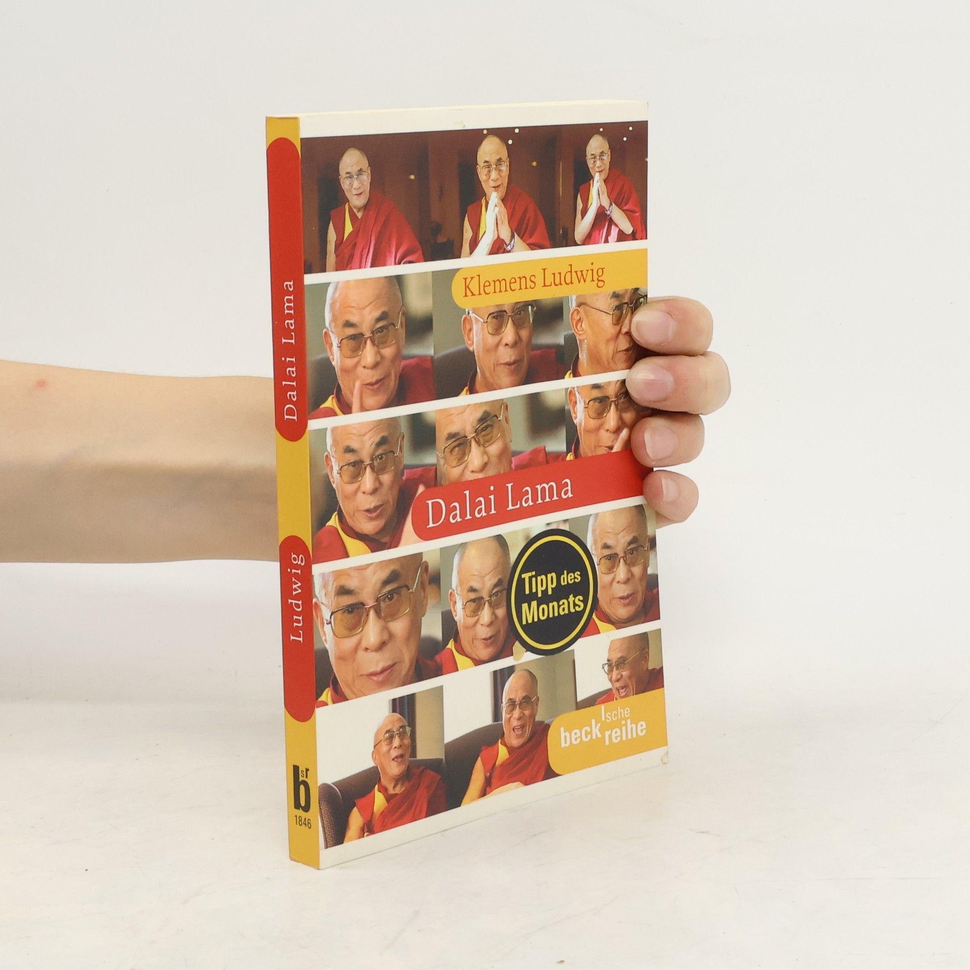 Klemens Ludwig Dalai Lama. Botschafter des Mitgefühls