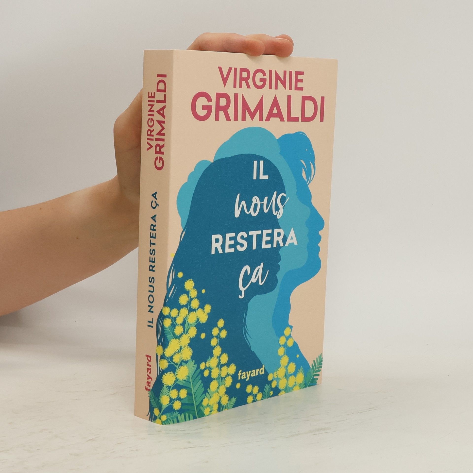 Virginie Grimaldi Il nous restera ça