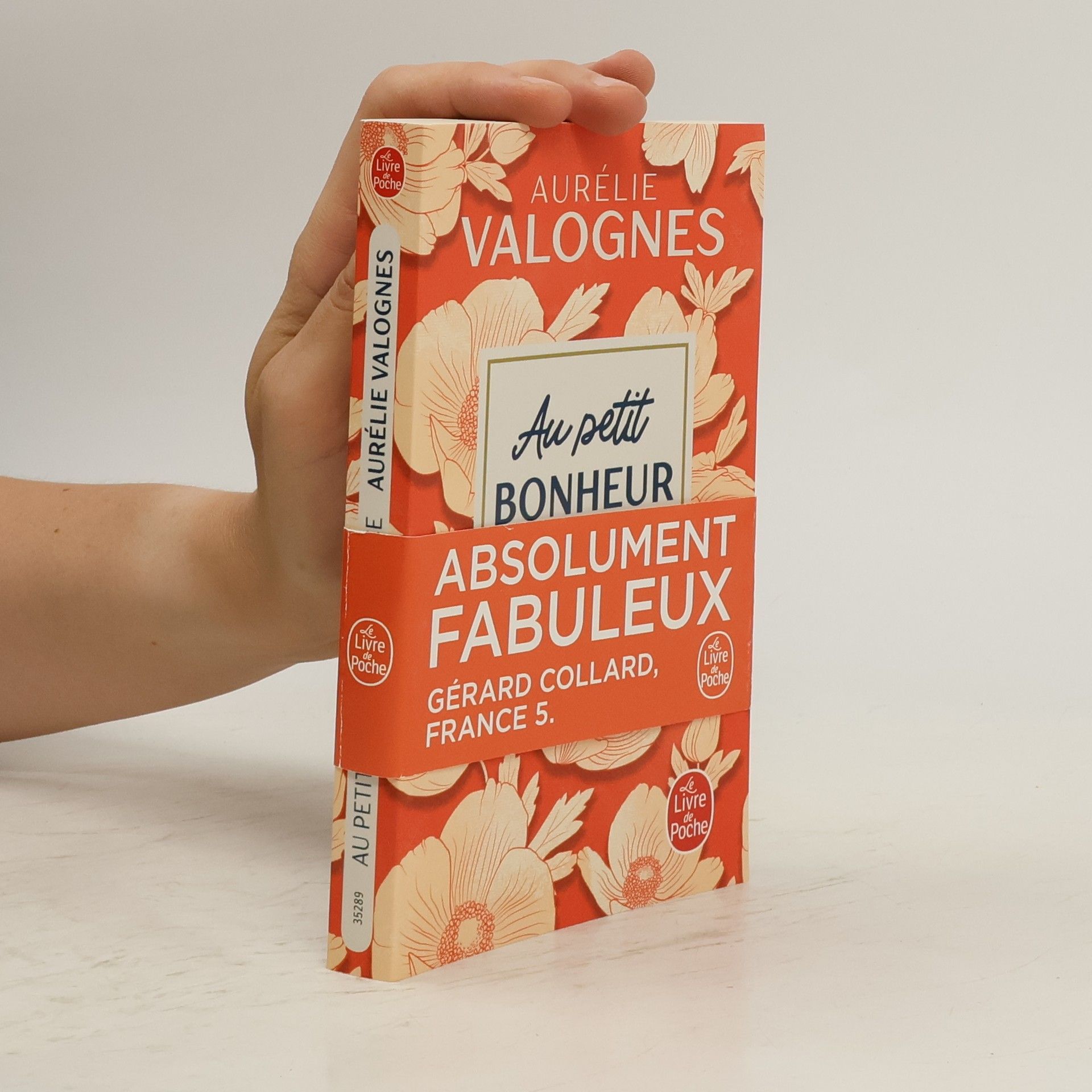 Aurélie Valognes Au petit bonheur la chance