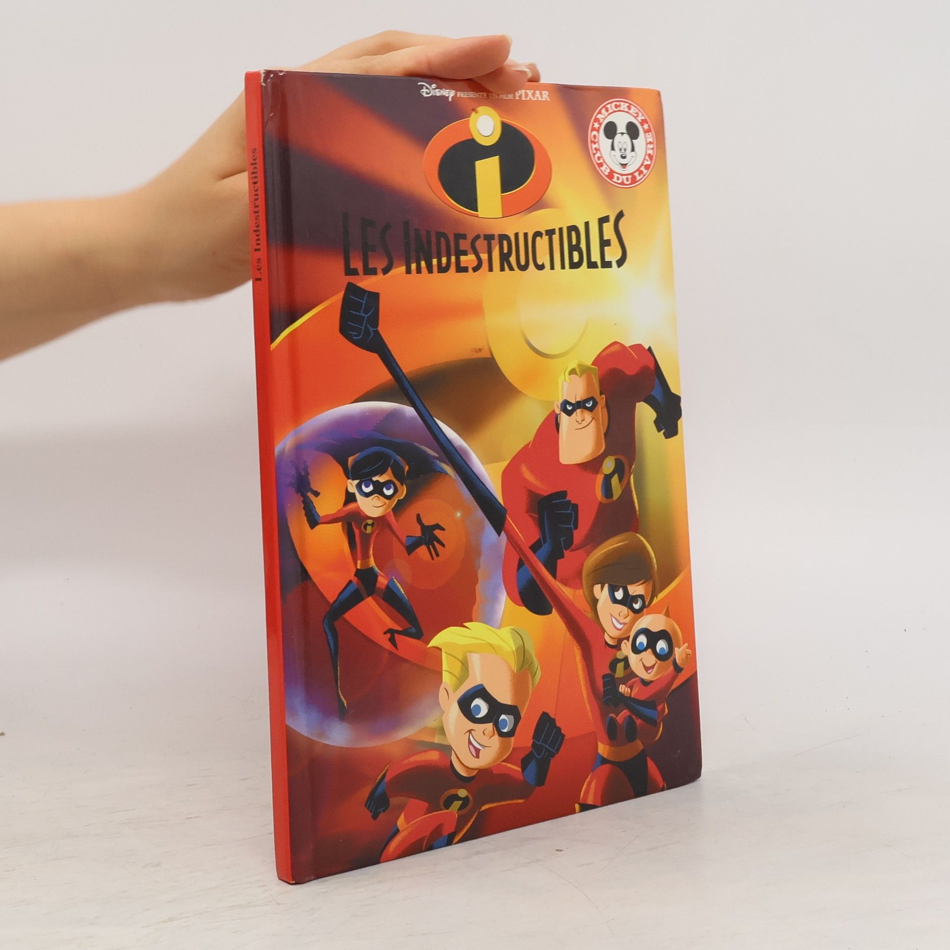 Collectif d'auteurs Les indestructibles