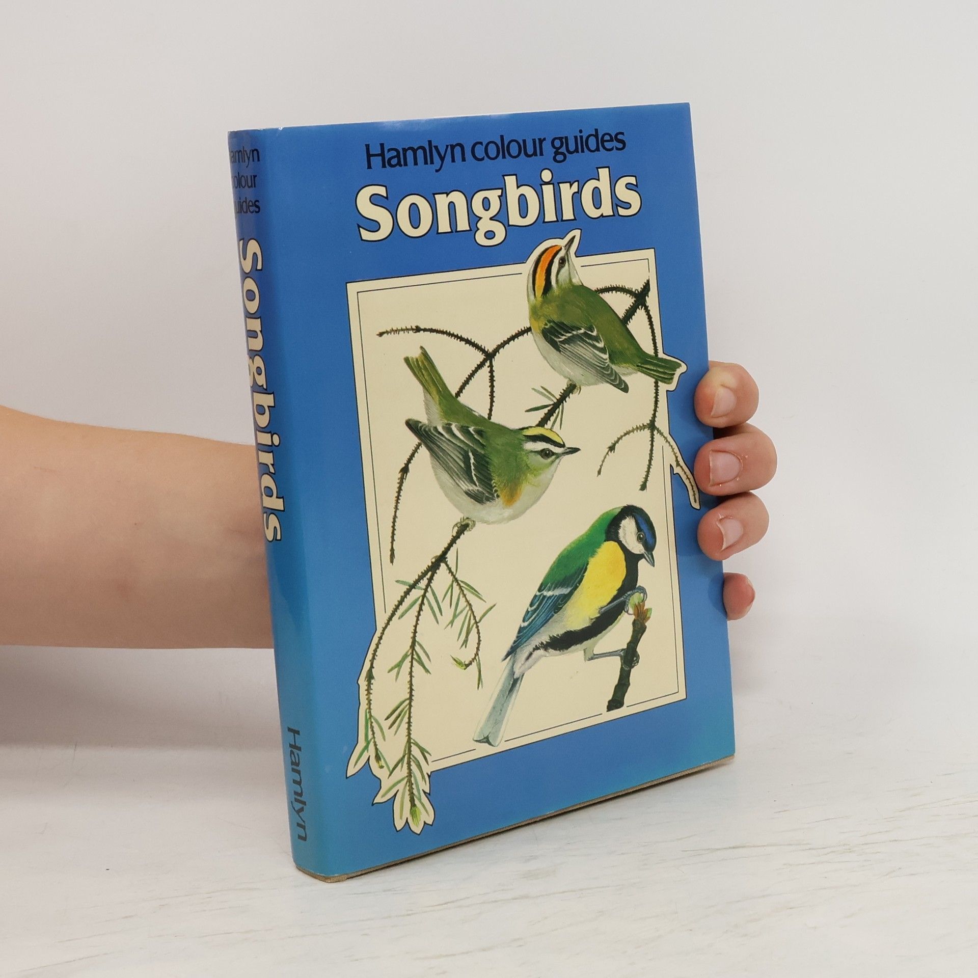 AA.VV. Songbirds
