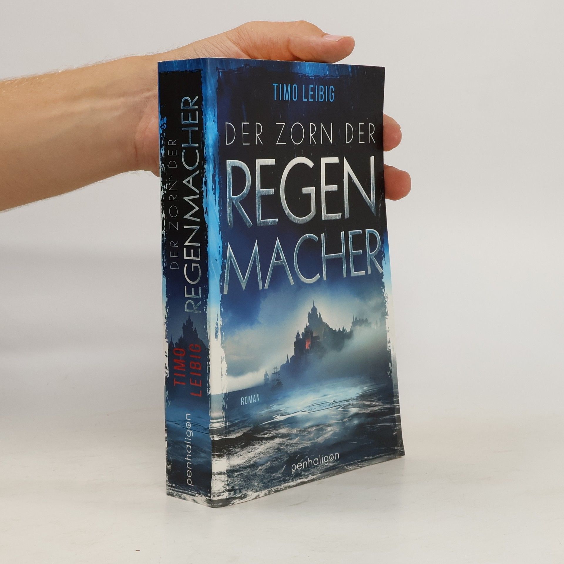 Timo Leibig Der Zorn der Regenmacher