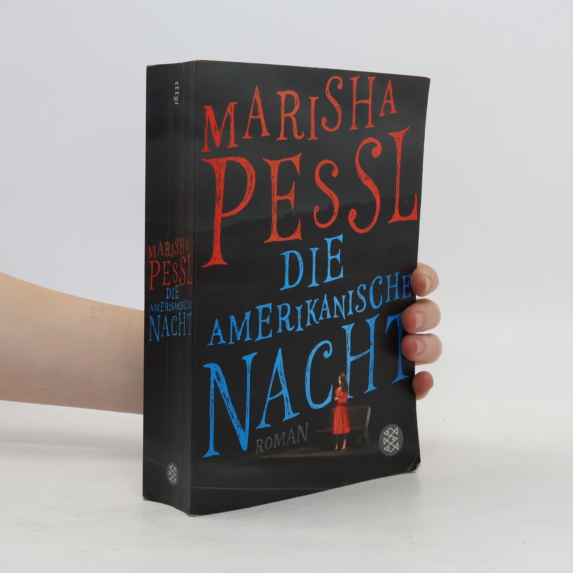 Marisha Pessl Die amerikanische Nacht