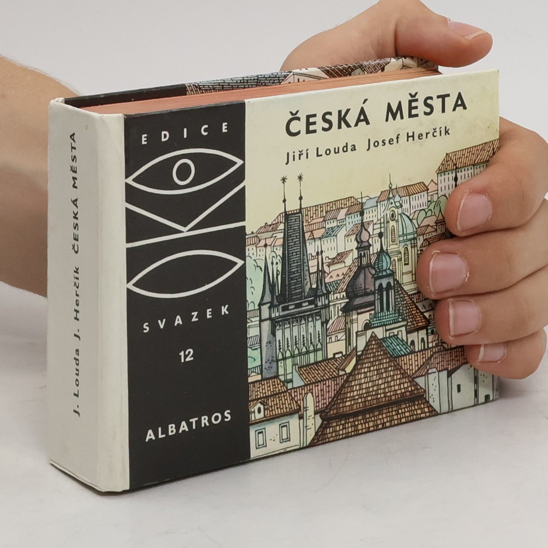 Plk. Jiří Louda Česká města