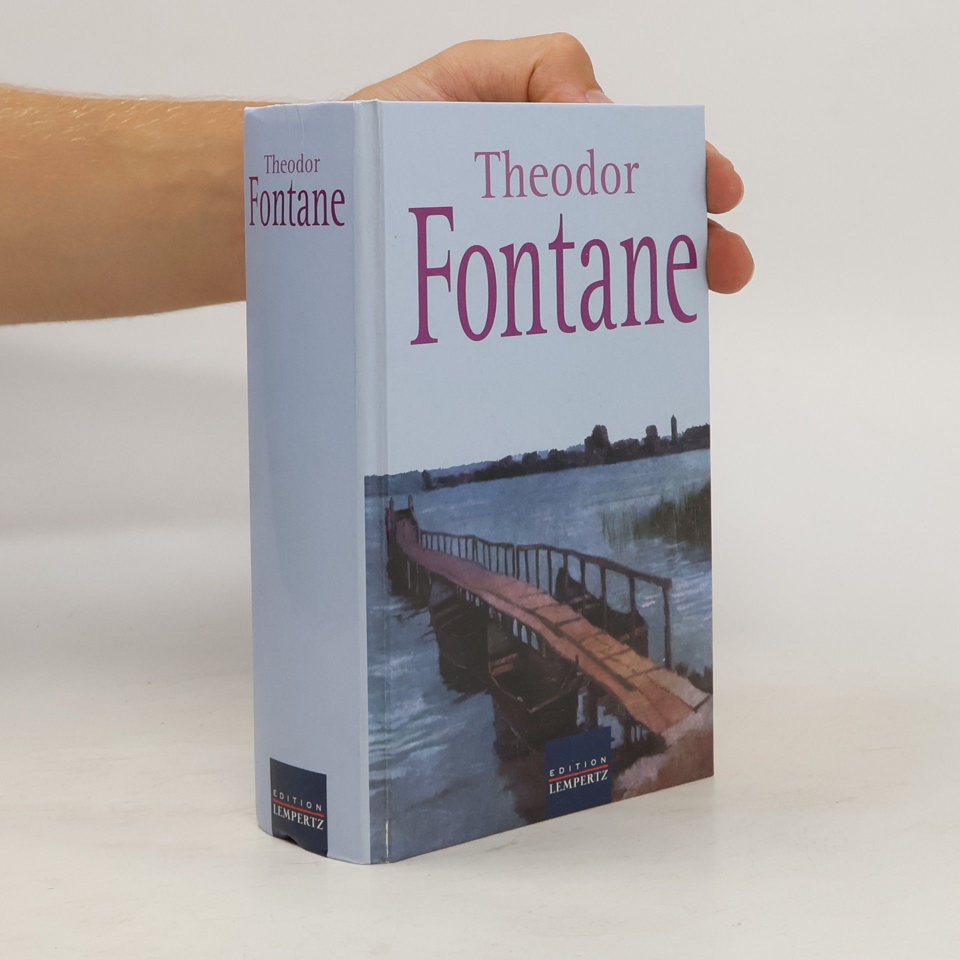 Theodor Fontane Balladen und Erzählungen