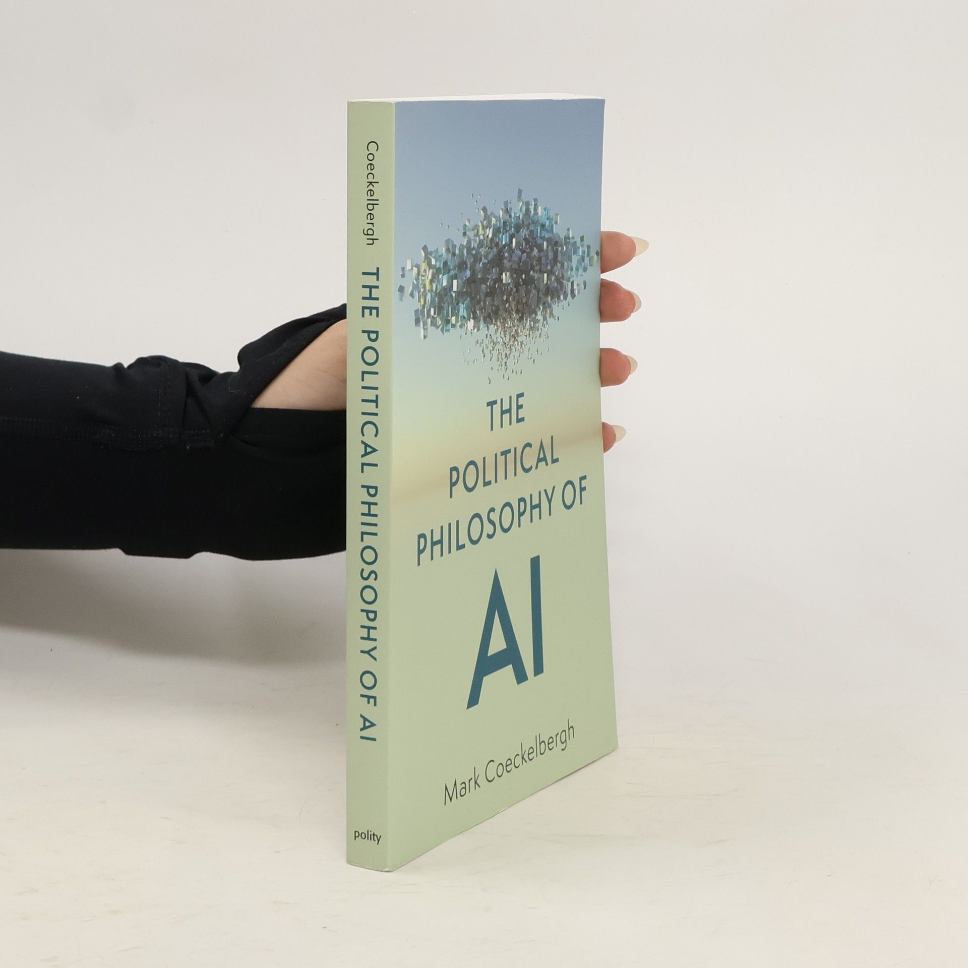 Mark Coeckelbergh The Political Philosophy of AI