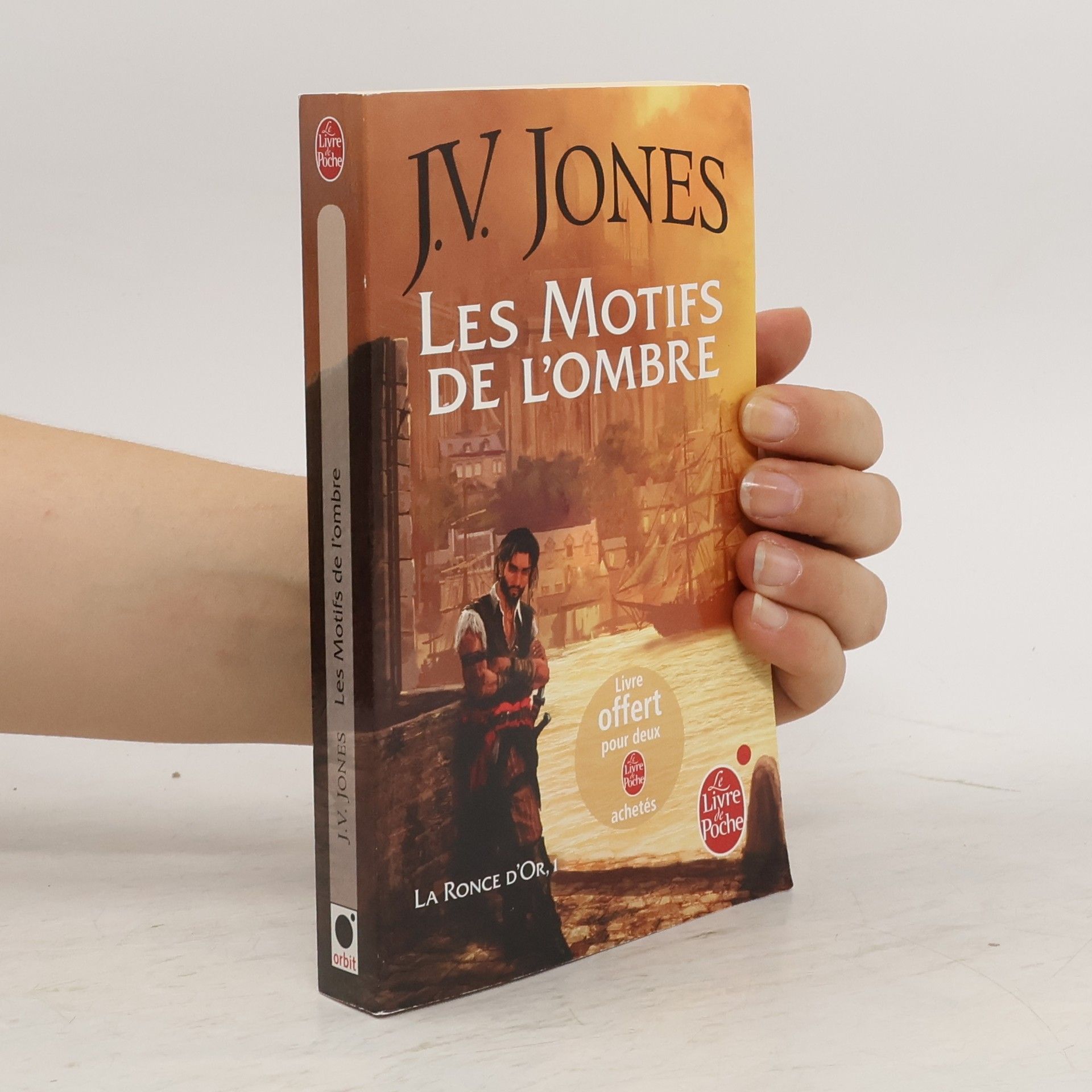 Julie V. Jones Les Motifs de l'ombre (La Ronce d'or, Tome 1)