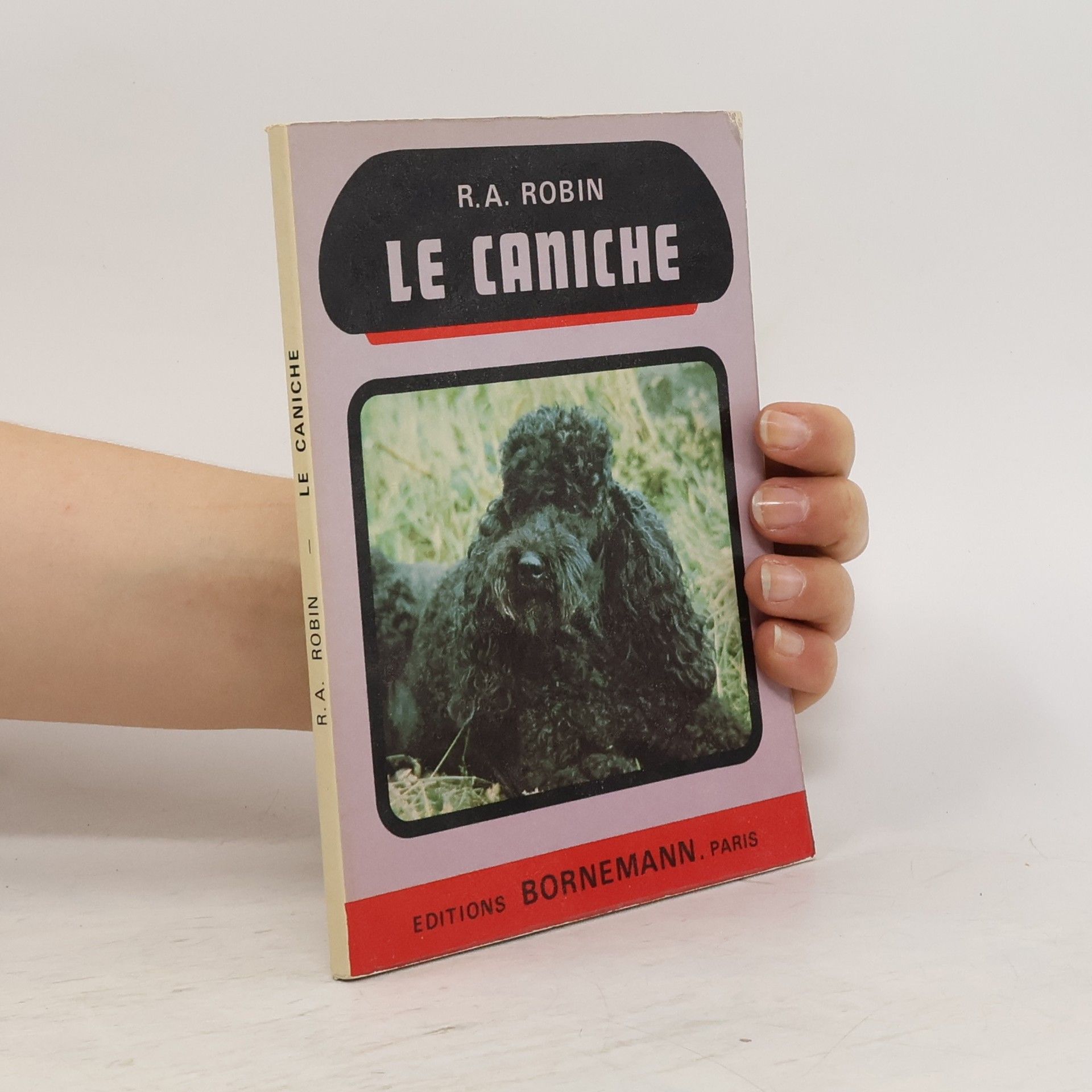 R. A. Robin Le Caniche