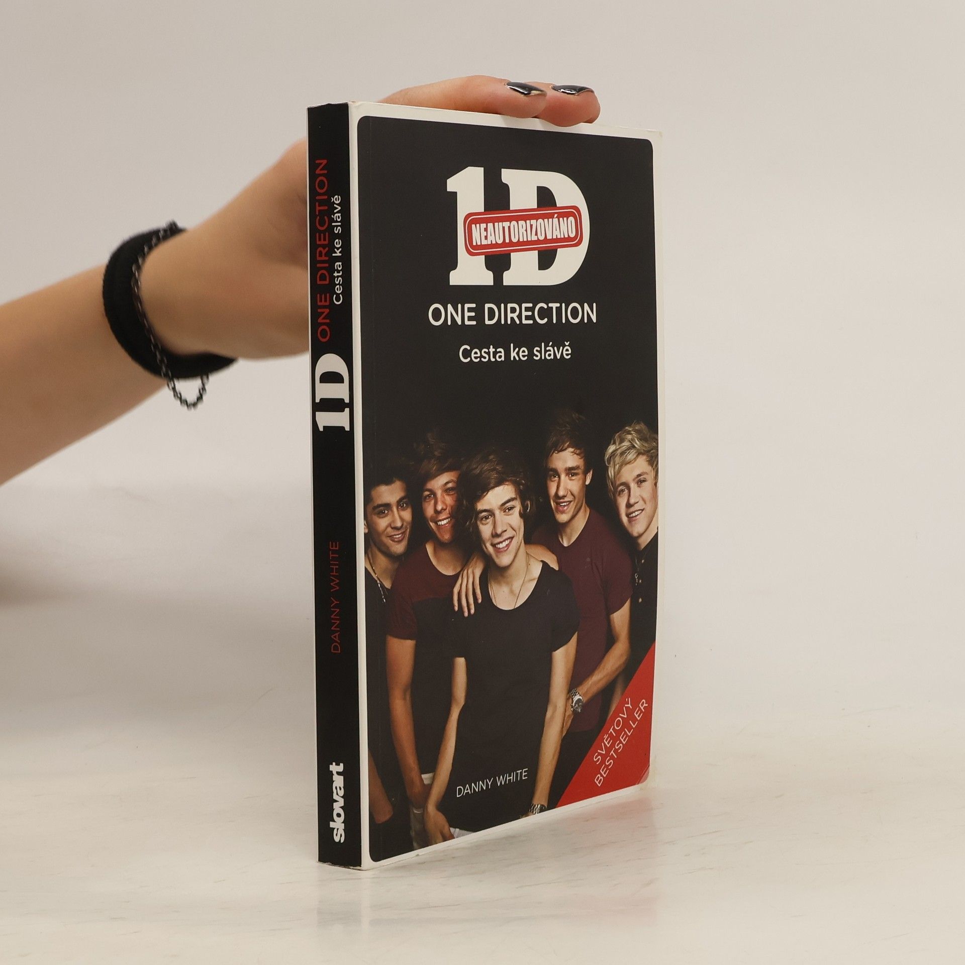 Danny White 1D - One Direction: Cesta ke slávě