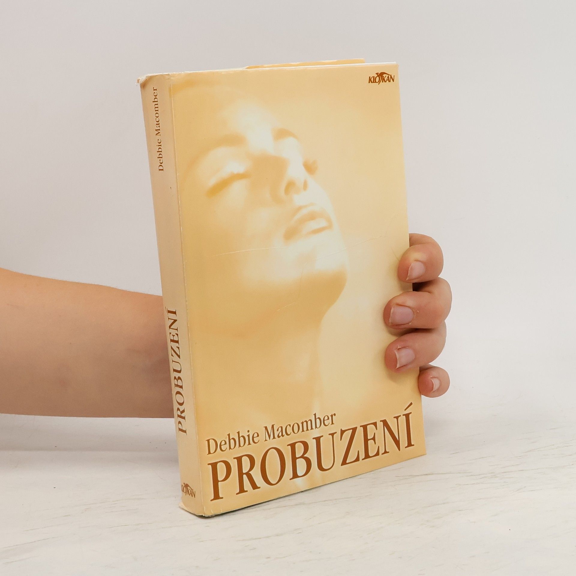 Debbie Macomber Probuzení