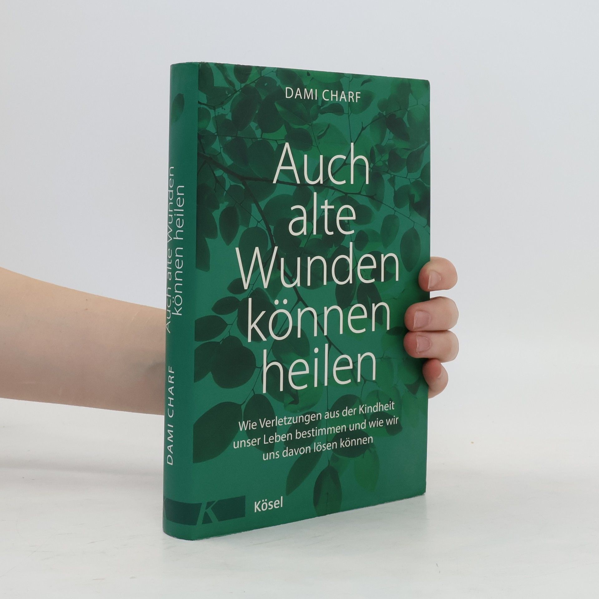 Dami Charf Auch alte Wunden können heilen