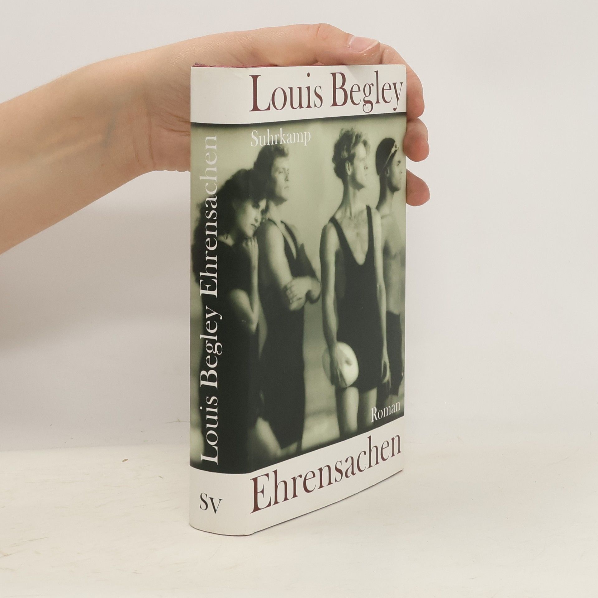Louis Begley Ehrensachen