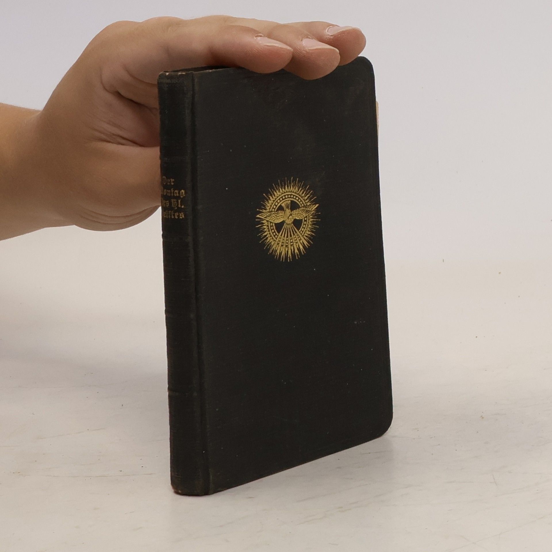 Herm auf der Heide S. V. D. Der Montag des Hl. Geistes