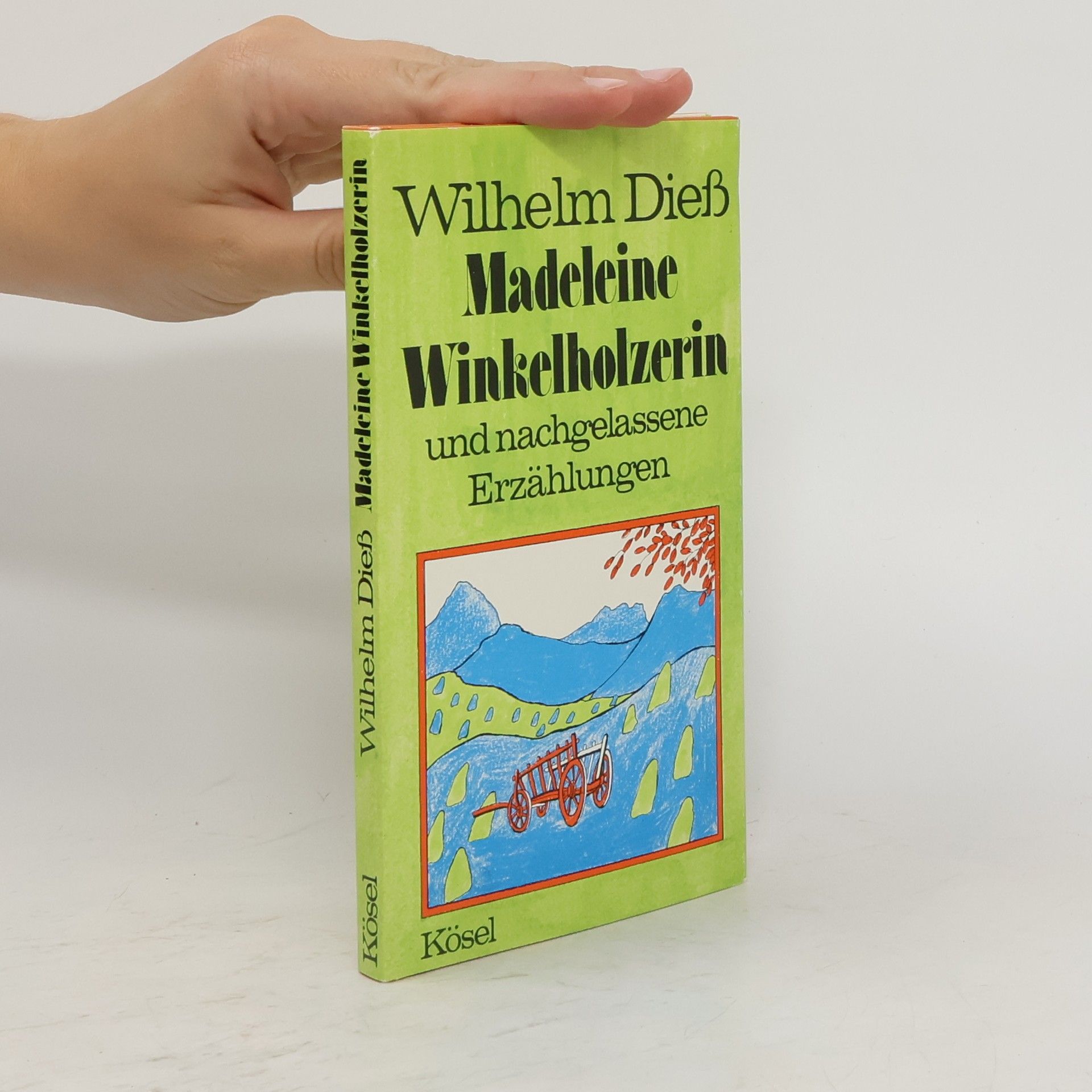Wilhelm Dieß Madeleine Winkelholzerin und nachgelassene Erzählungen