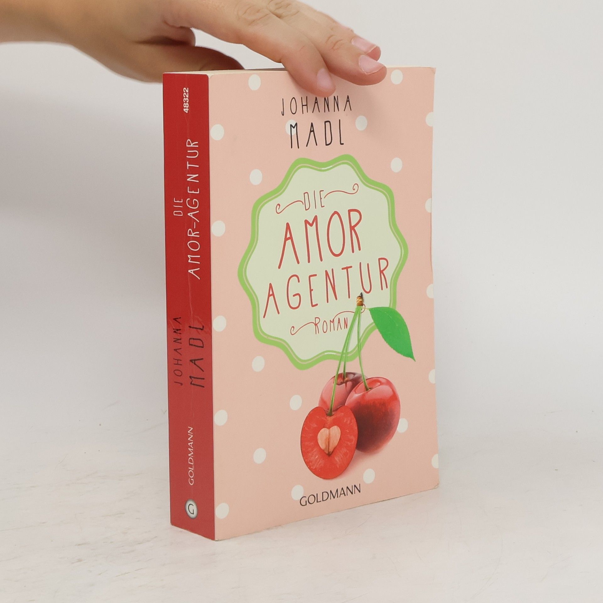 Johanna Madl Die Amor-Agentur