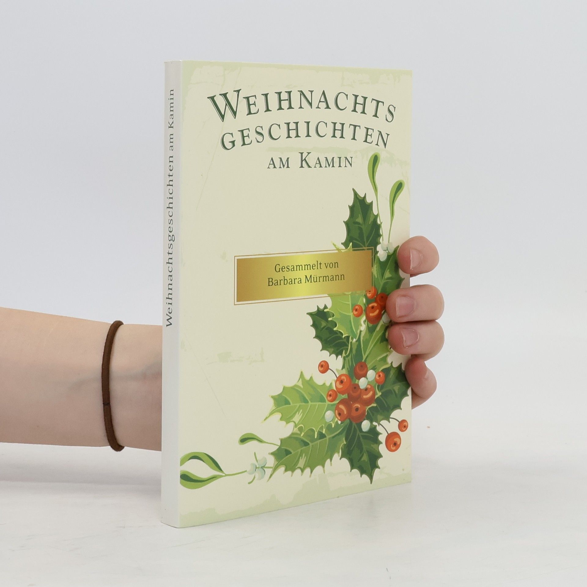 Barbara Mürmann Weihnachts Geschichten am Kamin