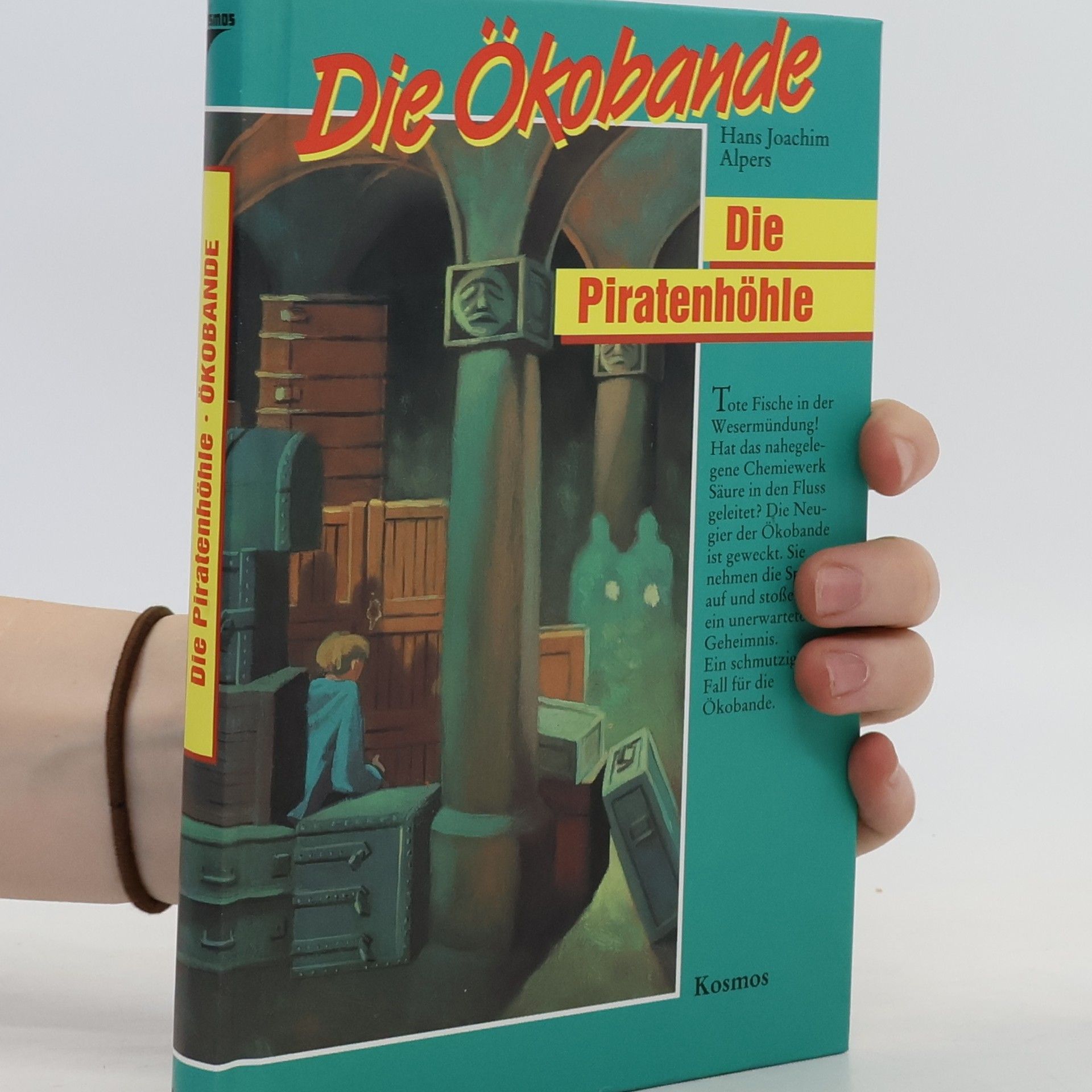 Hans Joachim Alpers Die Ökobande. Die Piratenhöhle