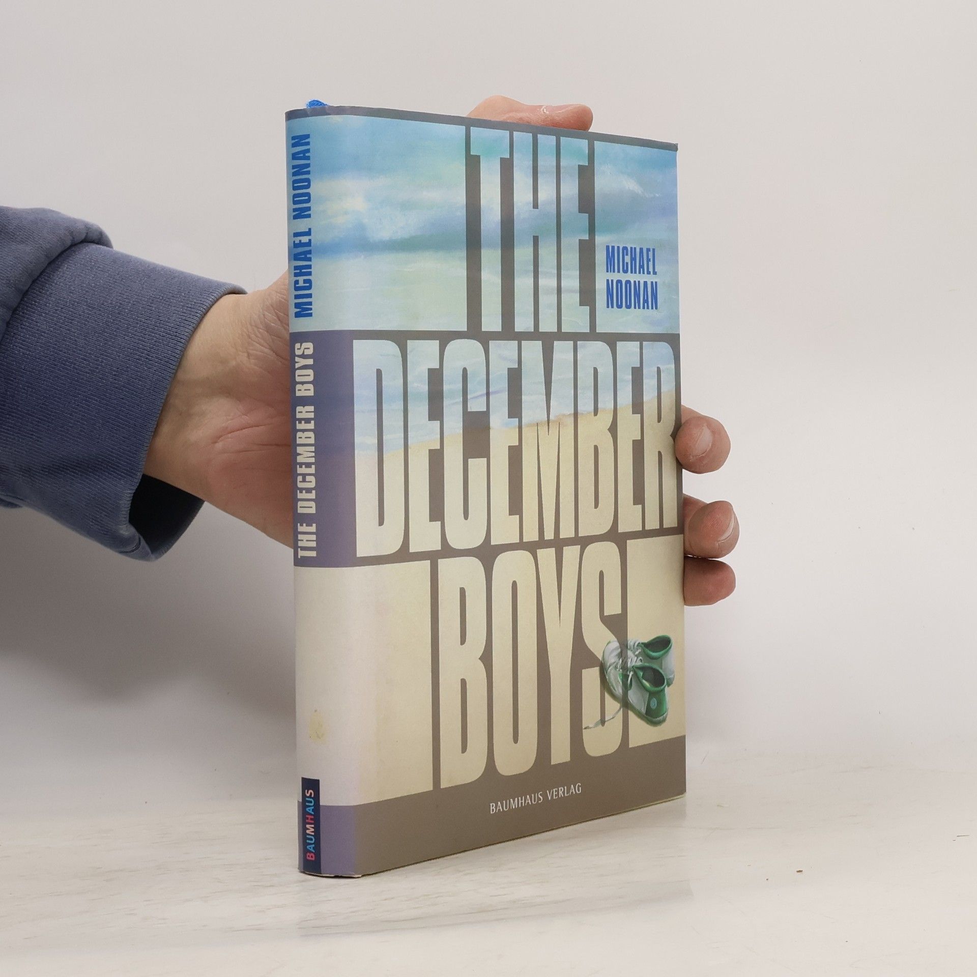 Michael Noonan The december boys