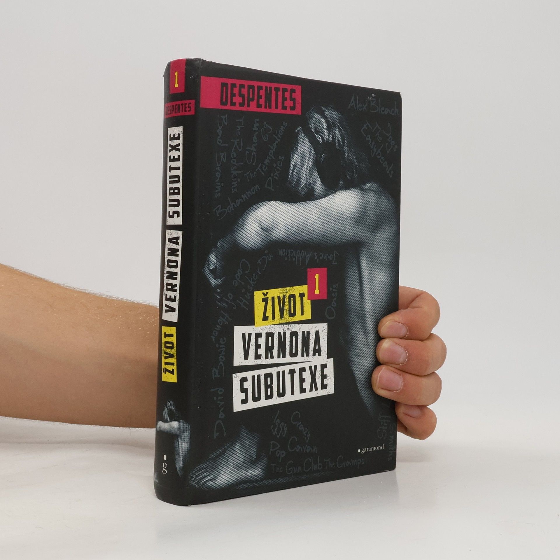 Virginie Despentes Život Vernona Subutexe. Díl 1.