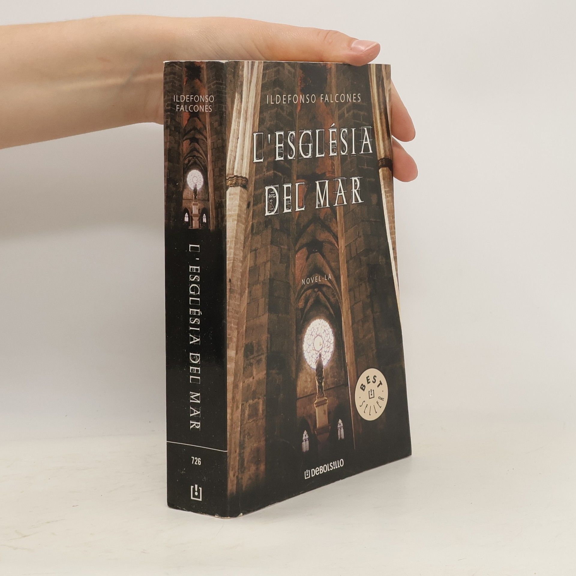 Ildefonso Falcones L'església del mar