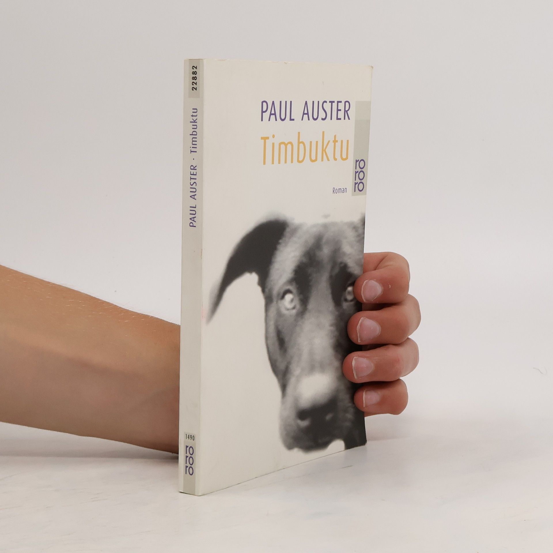 Paul Auster Timbuktu