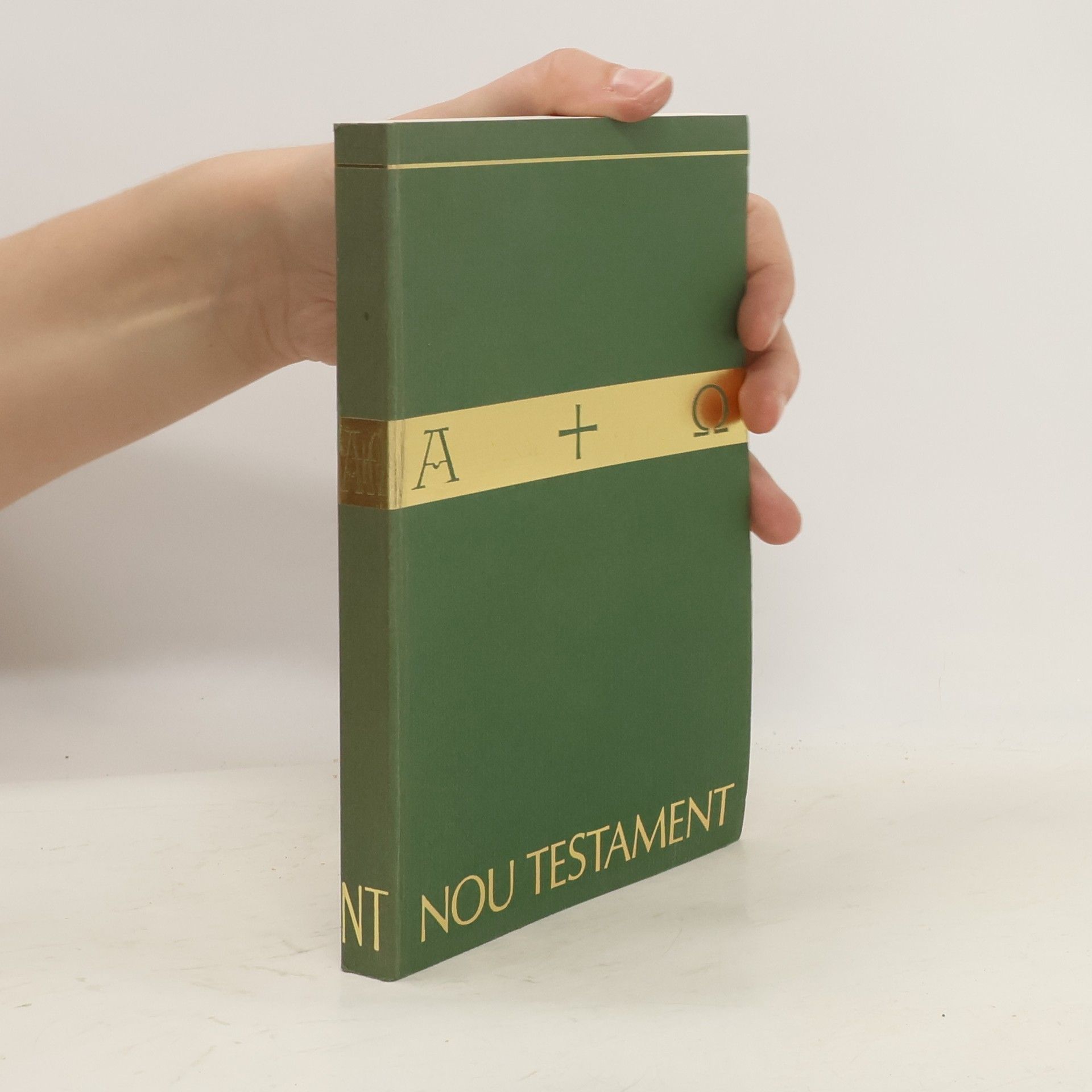 Kolektiv autorů Nou Testament