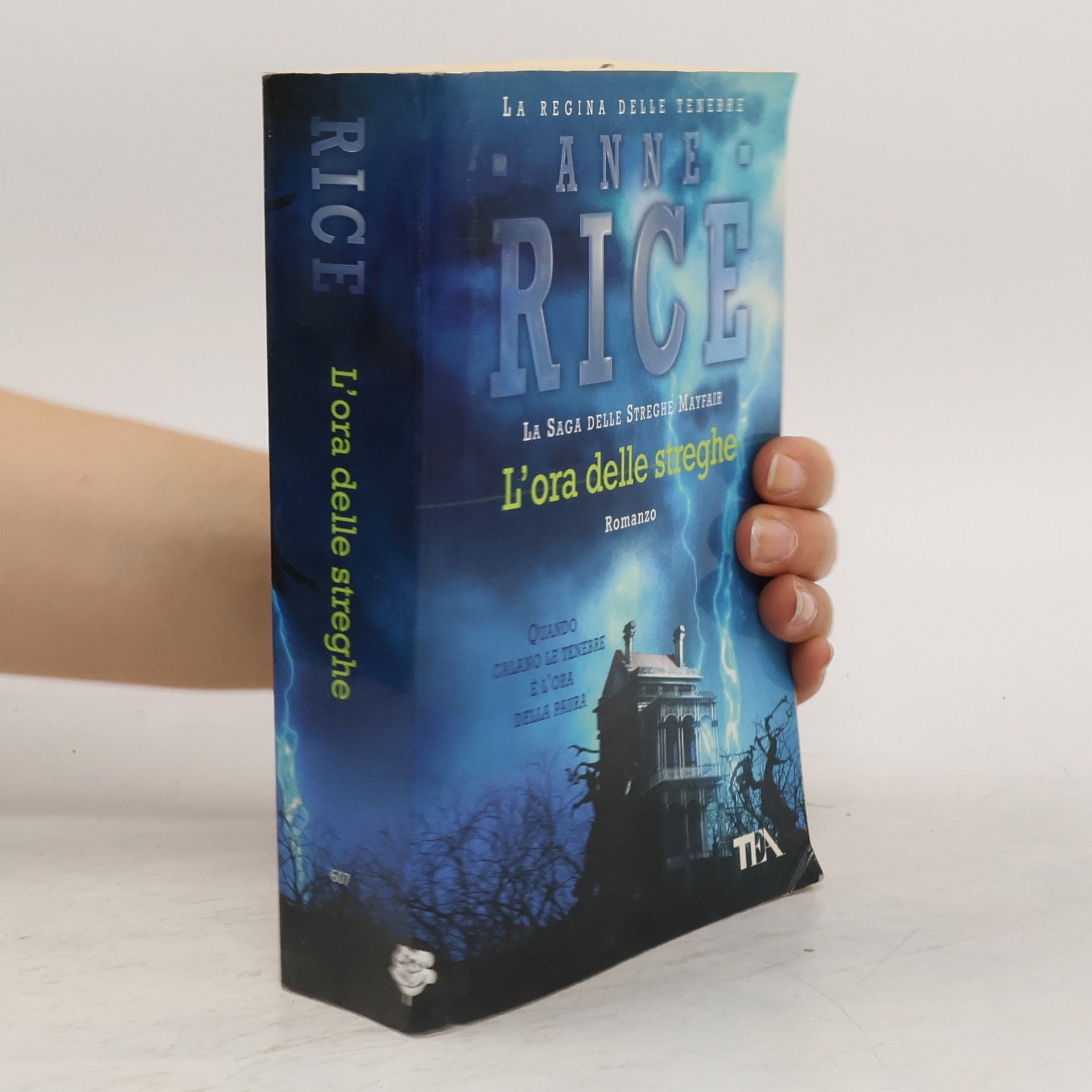 Anne Rice L'ora delle streghe. La saga delle streghe Mayfair