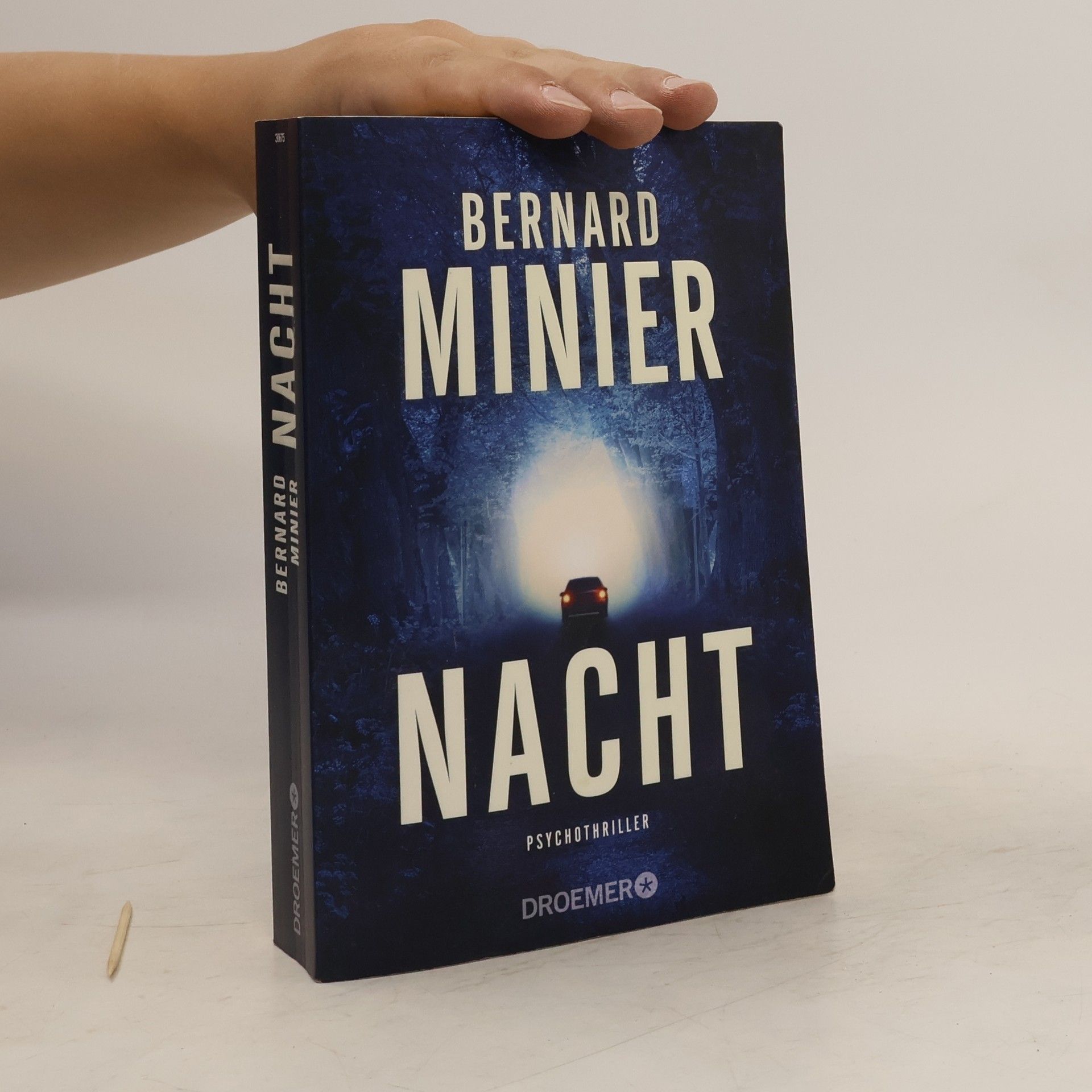 Bernard Minier Nacht