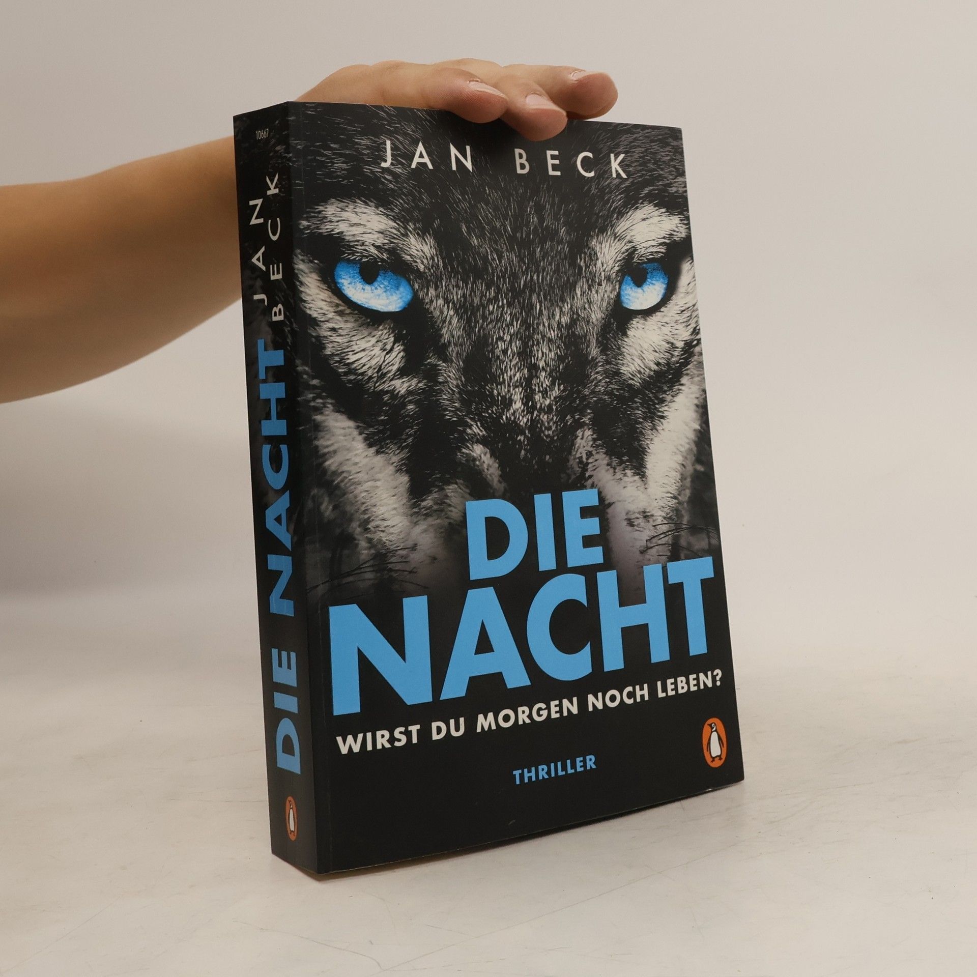 Jan Beck Die Nacht - wirst du morgen noch leben?
