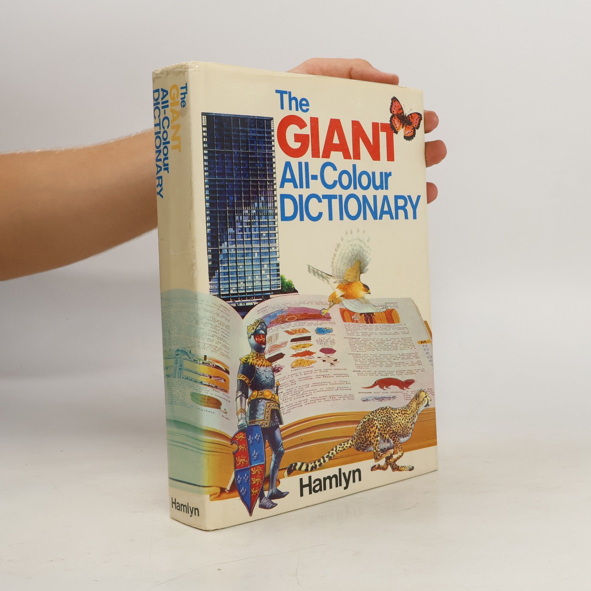 Stuart A. Courtis Giant All Colour Dictionary