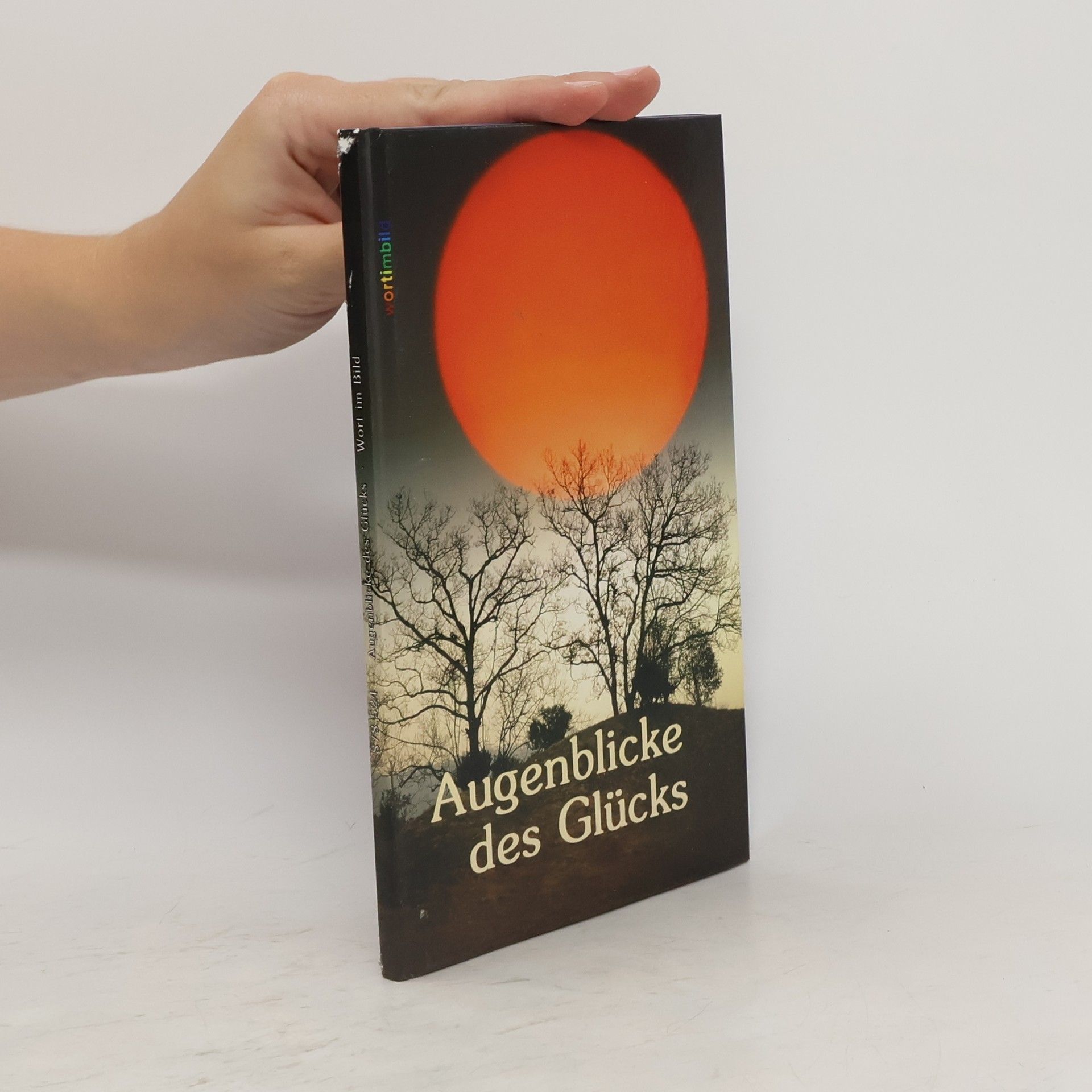 Autorenkollektiv Augenblicke des Glücks