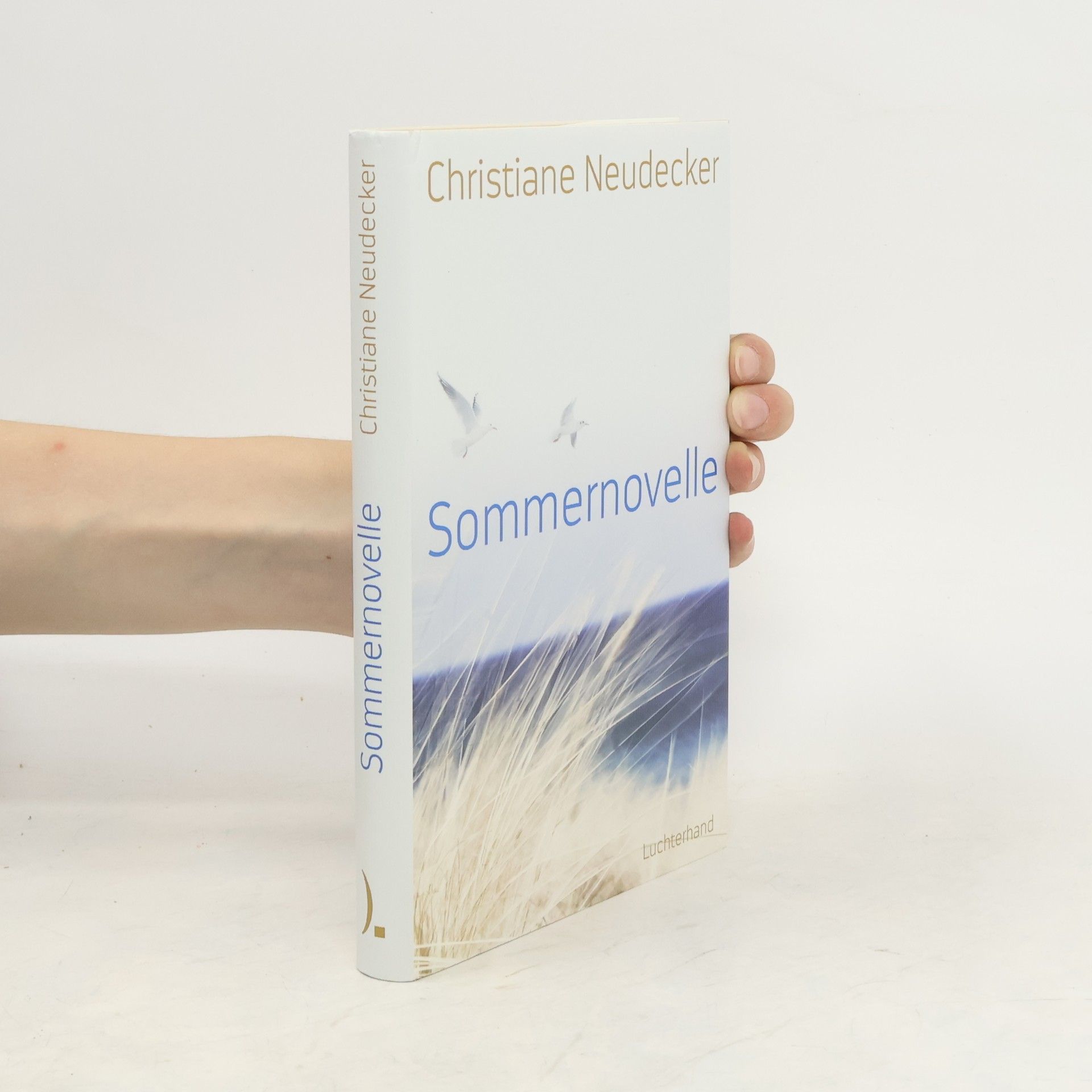 Christiane Neudecker Sommernovelle