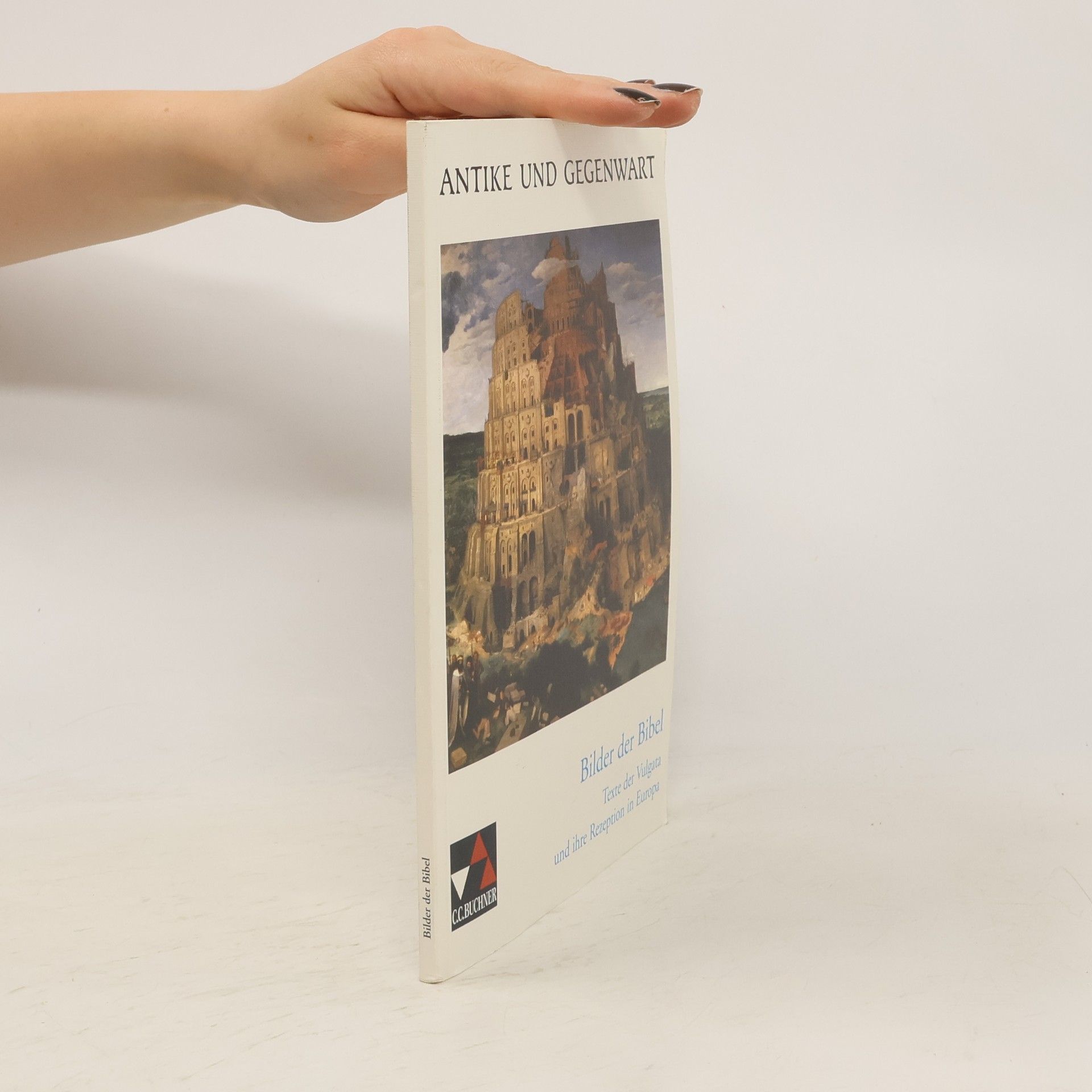 Collectif d'auteurs Bilder der Bibel