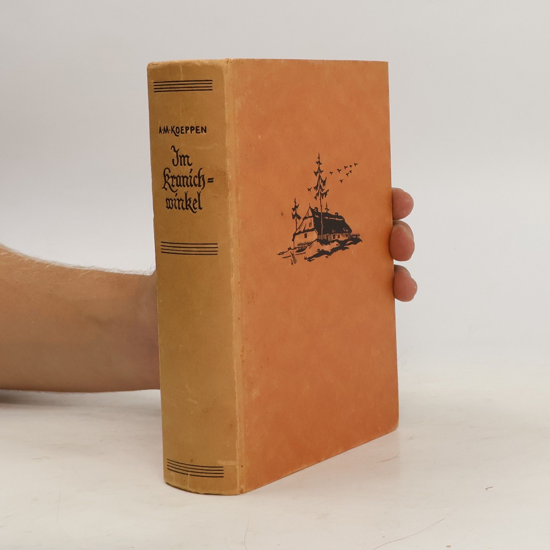 Anne Marie Koeppen Im Kranichwinkel