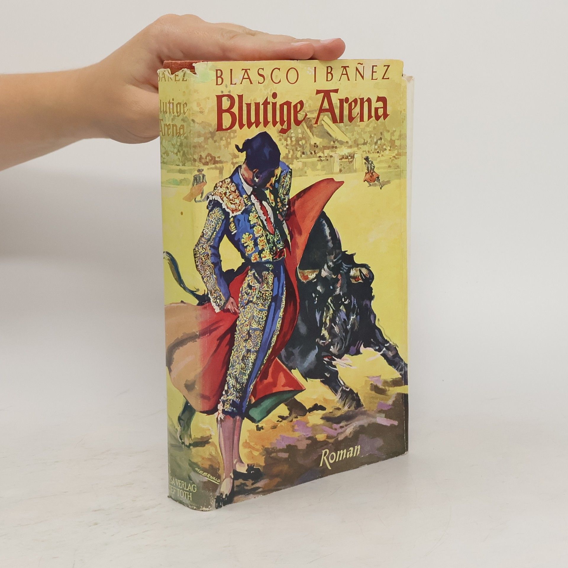 Vicente Blasco Ibáñez Blutige Arena